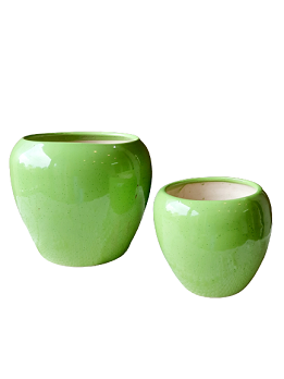 Green Apple Style Ceramic Combo Planter Pot