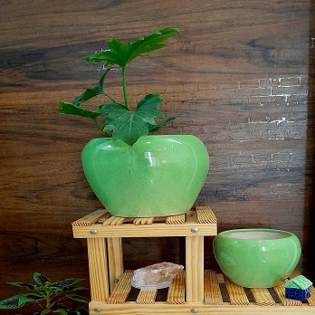 Green Apple Style Ceramic Combo Planter Pot