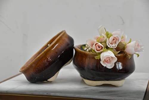 Oval Brown (Bonsai Set of 2)