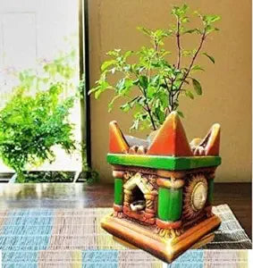 Teracotta Pot (10 inches by 8 inch)