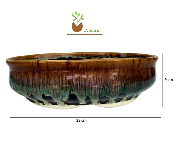 Oval Brown (Bonsai Set of 1)