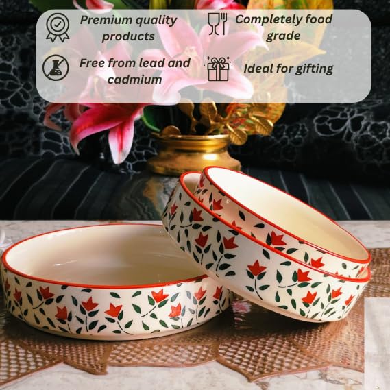 Red leaf design Ceramic Salad Bowl Set of 3