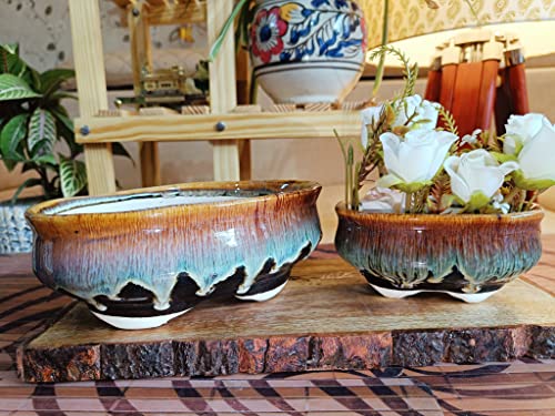 Oval Brown (Bonsai Set of 2)