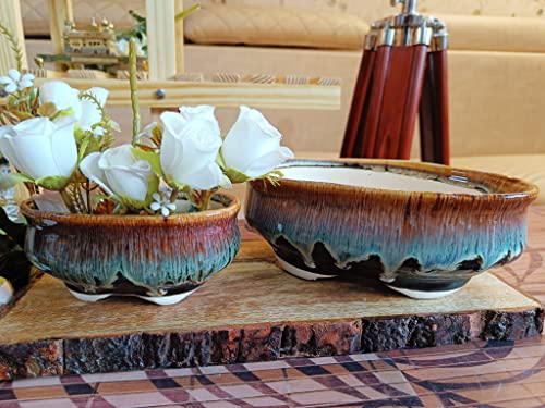 Oval Brown (Bonsai Set of 2)