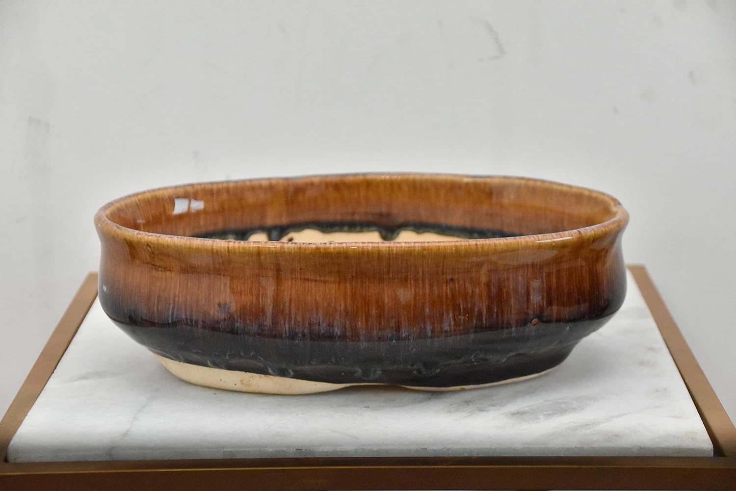 Oval Brown (Bonsai Set of 1)