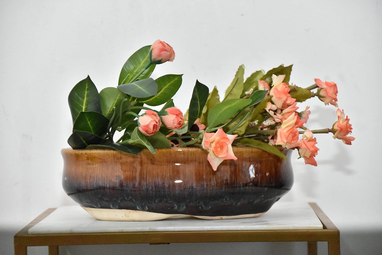 Oval Brown (Bonsai Set of 1)