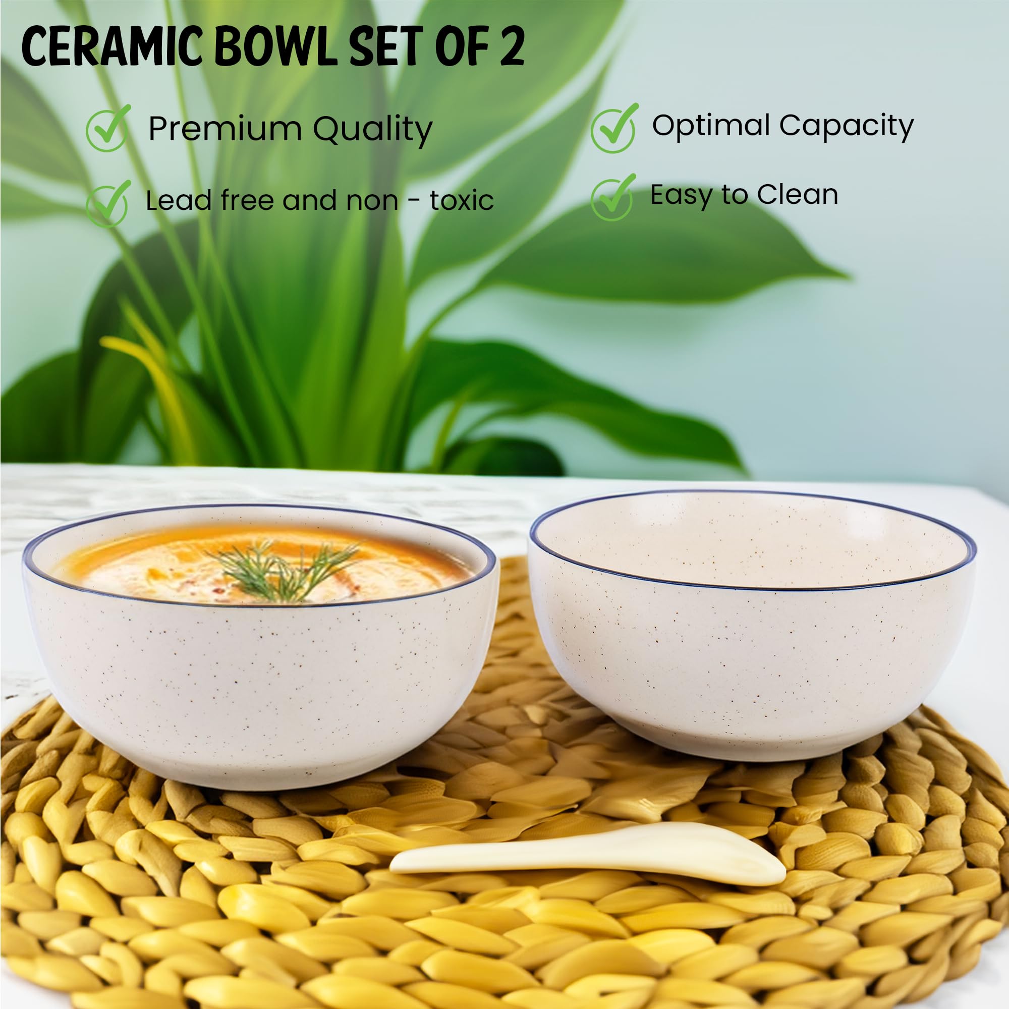 White with black border Ceramic Bowls set of 2