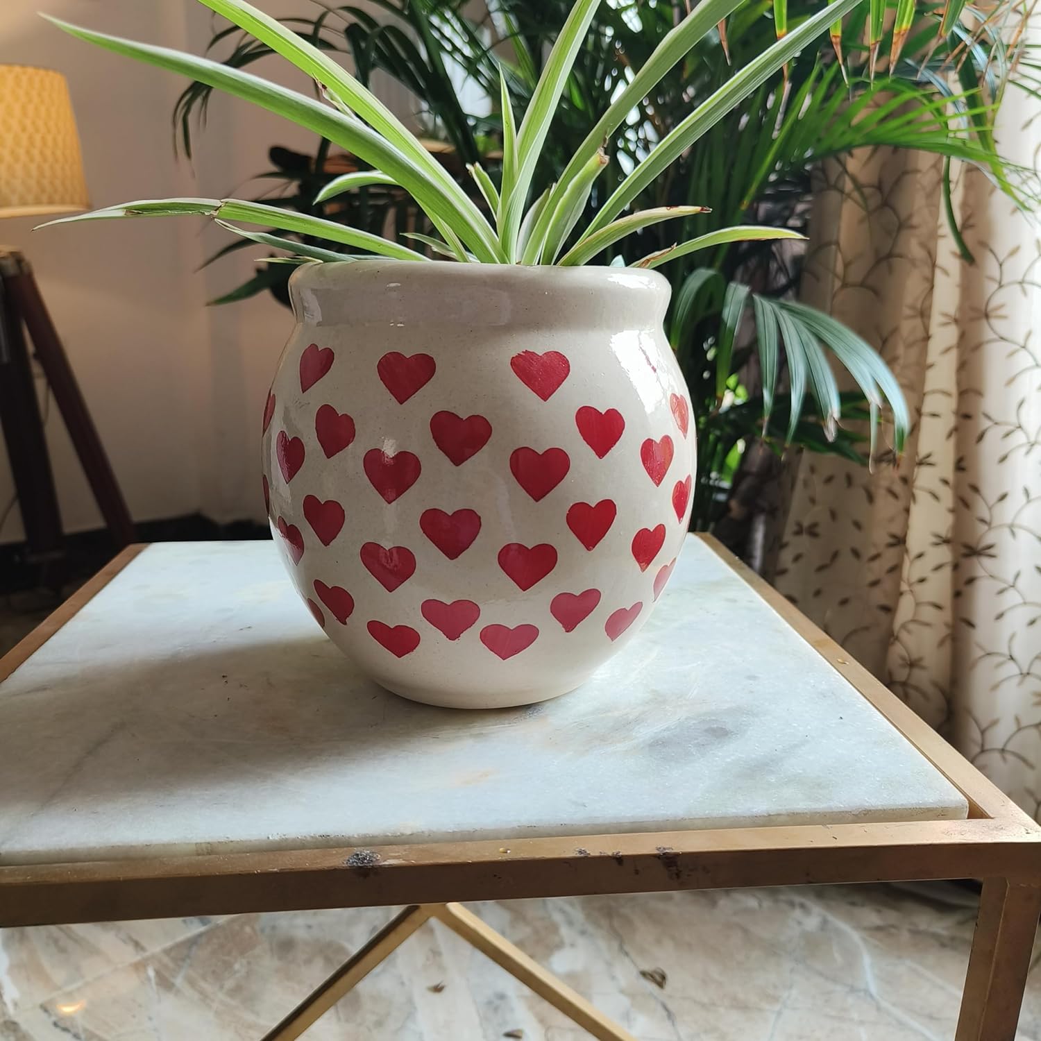 Heart Combo 6inches pots