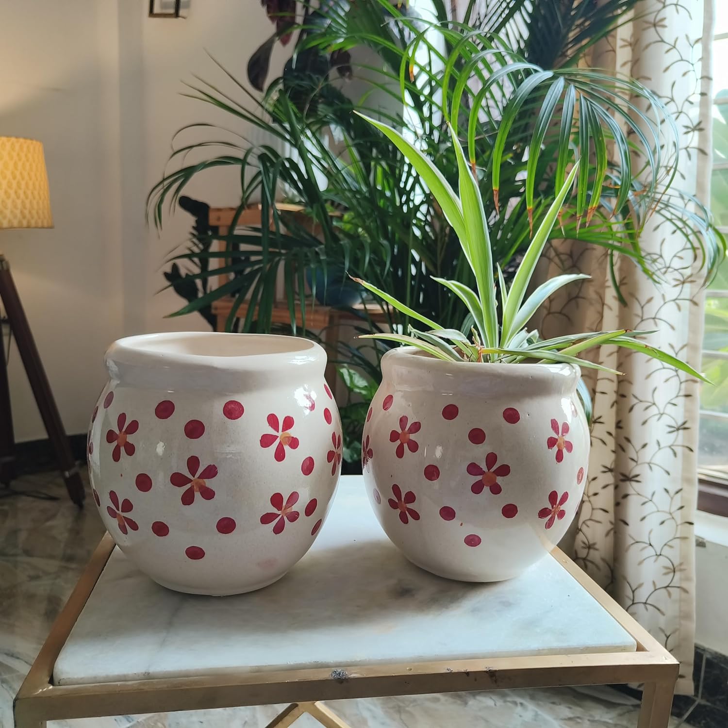 Red Warmth combo 6 inches pot