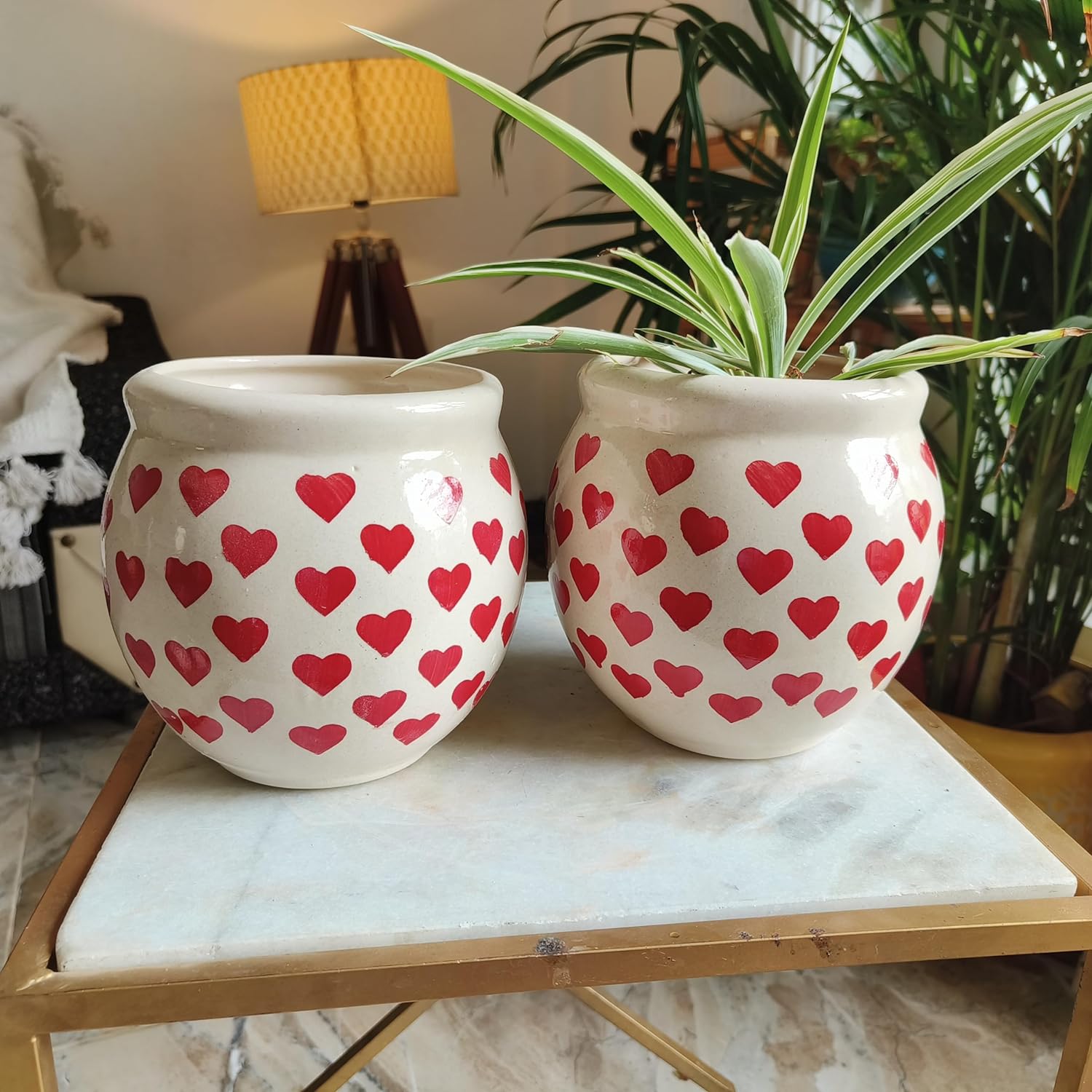 Heart Combo 6inches pots