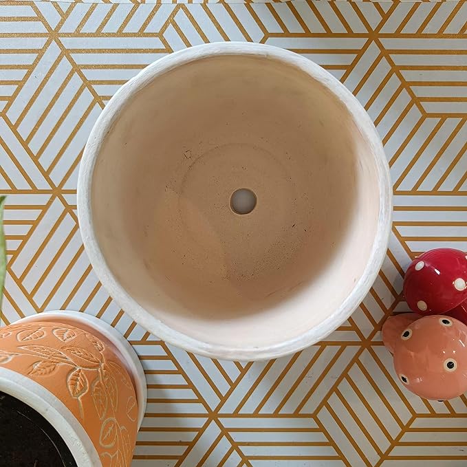 Serendipity Pot Combo