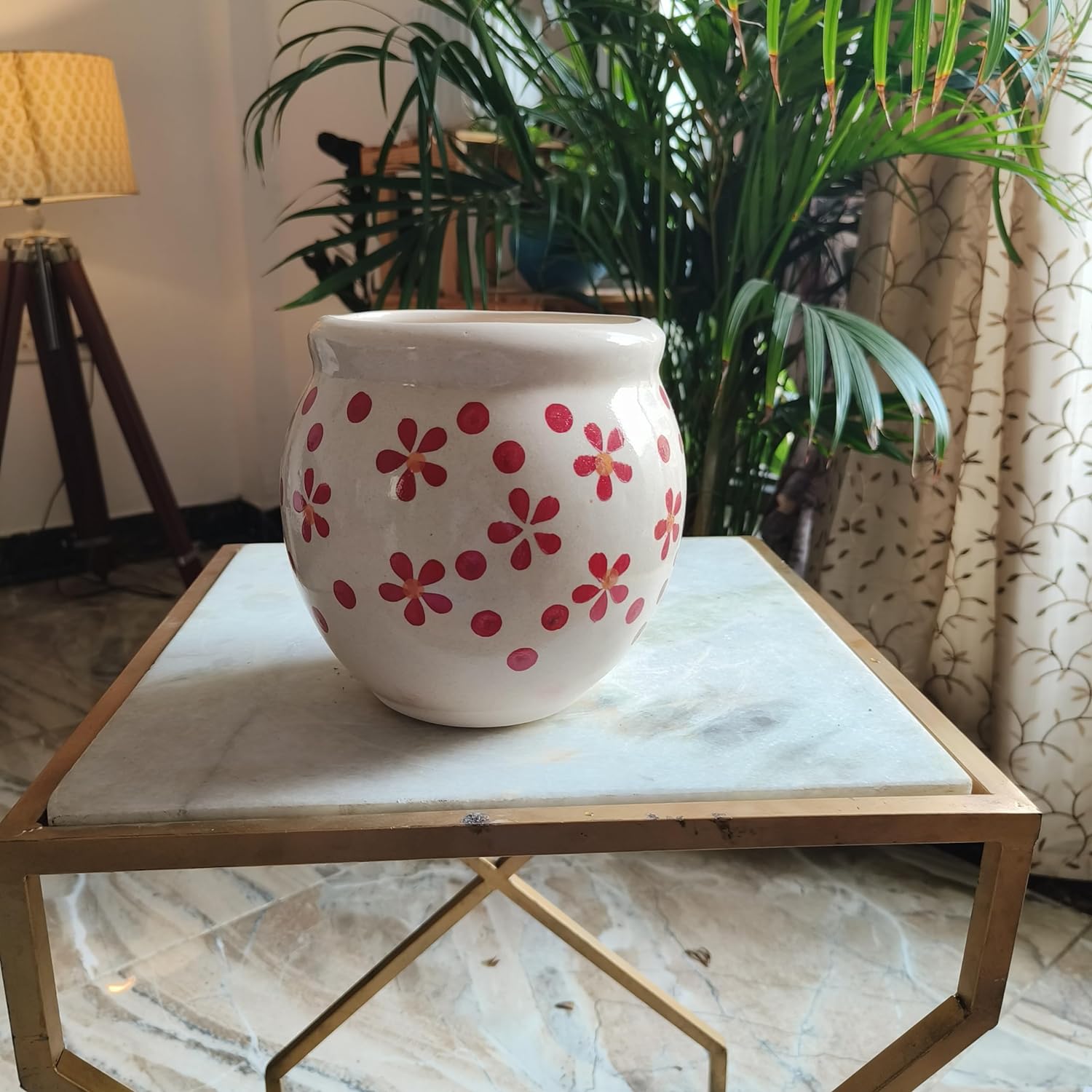 Red Warmth combo 6 inches pot