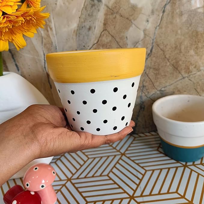 Minimalist Pot Combo