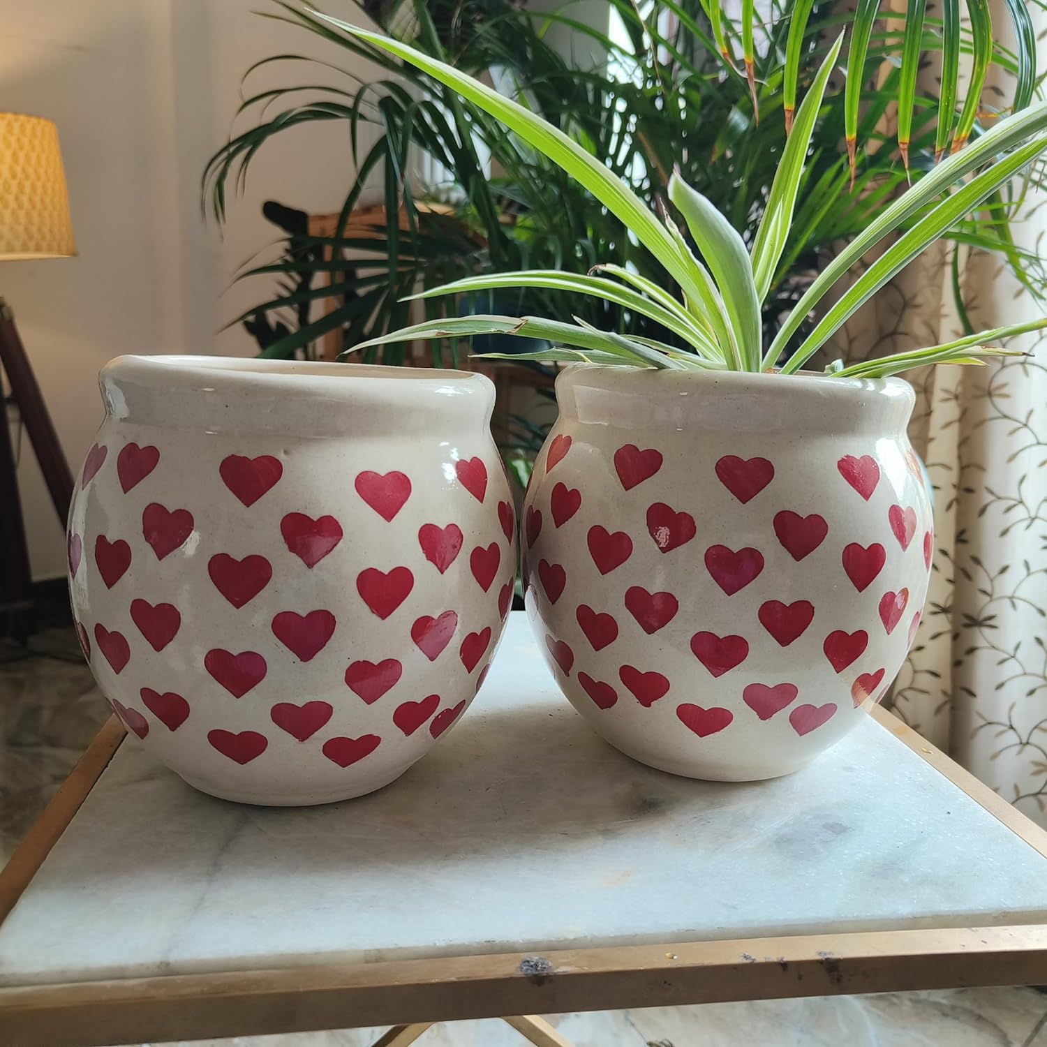 Heart Combo 6inches pots