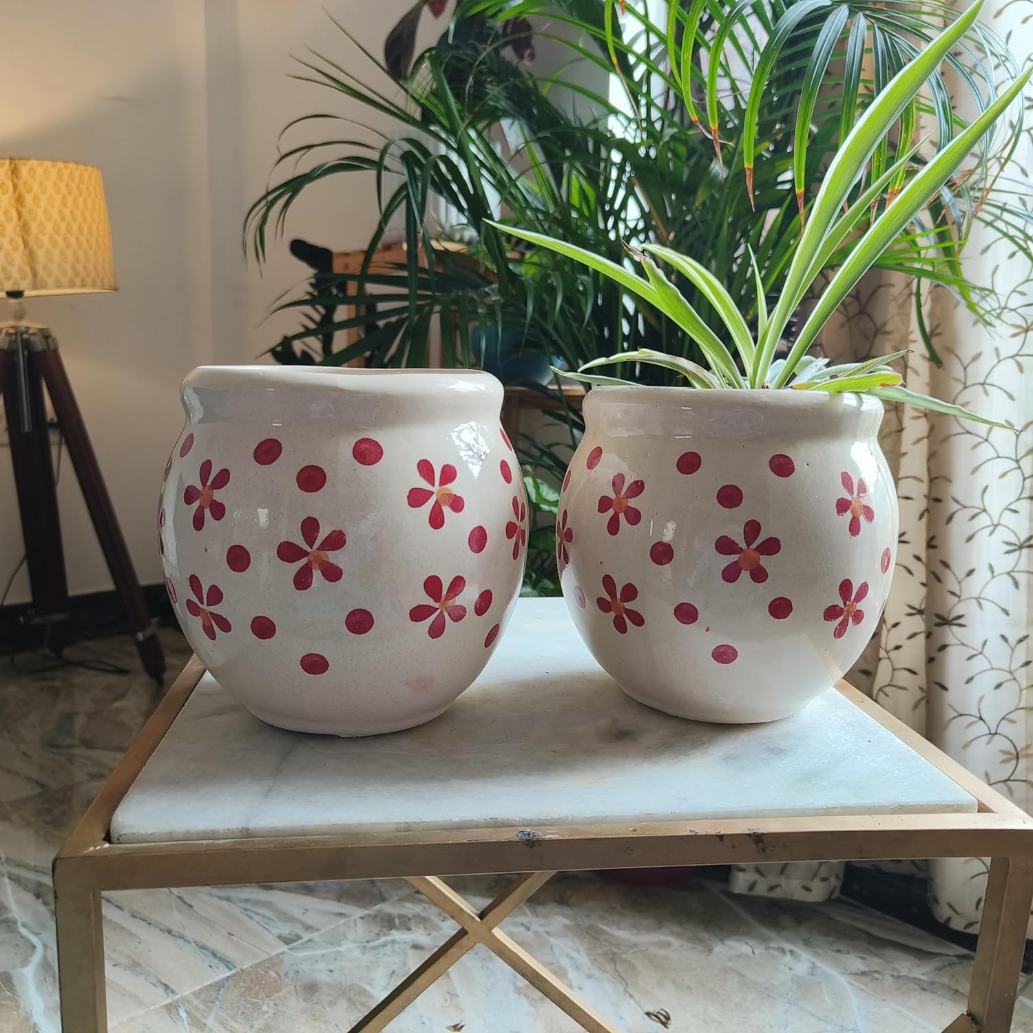 Red Warmth combo 6 inches pot