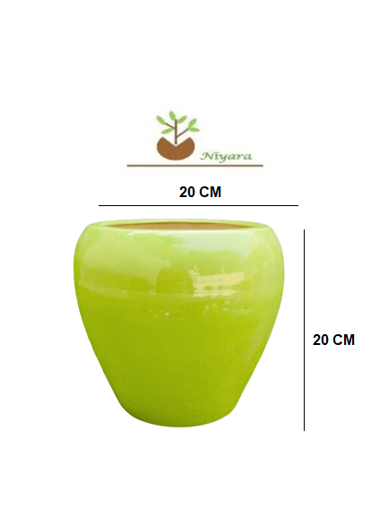 Green Apple pot 8 inch