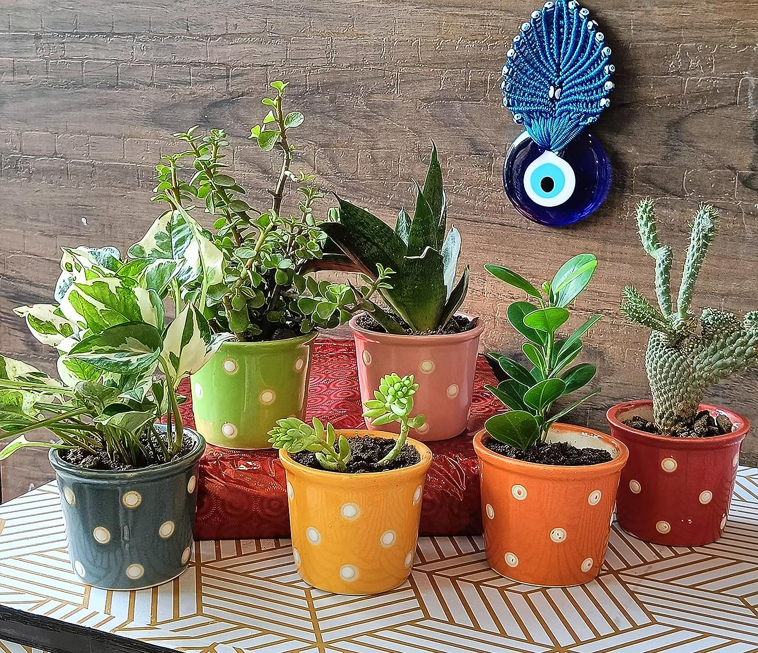 Small Polka ceramic pot set of 6