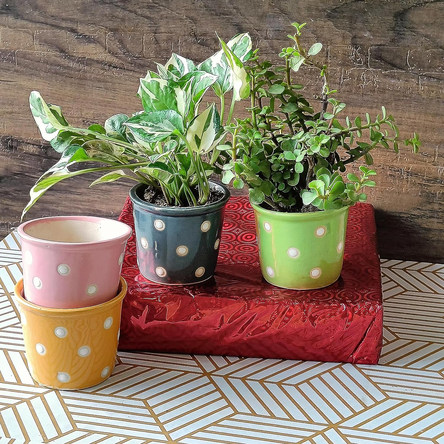 Small polka ceramic pot set of 4