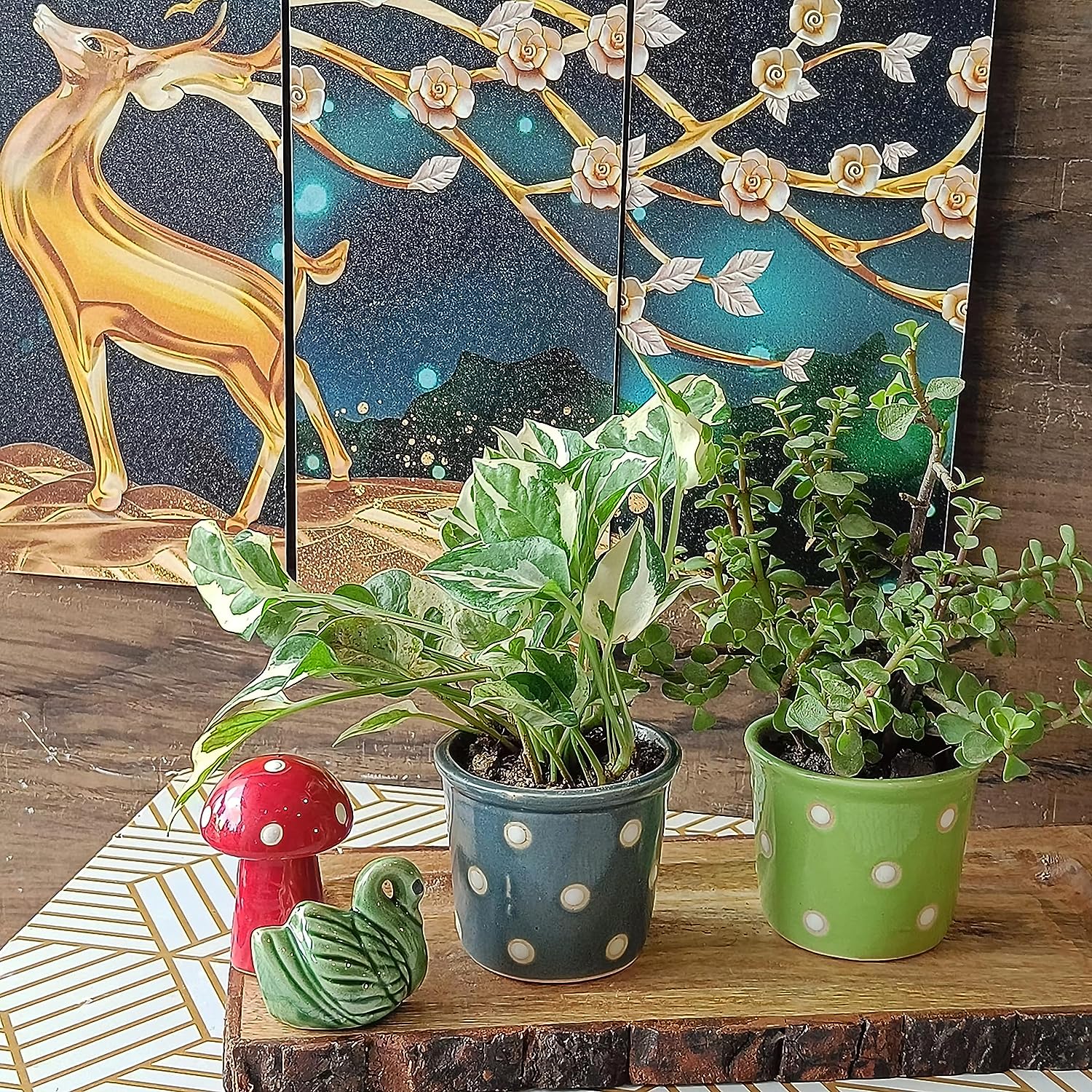 Small polka ceramic pot set of 4