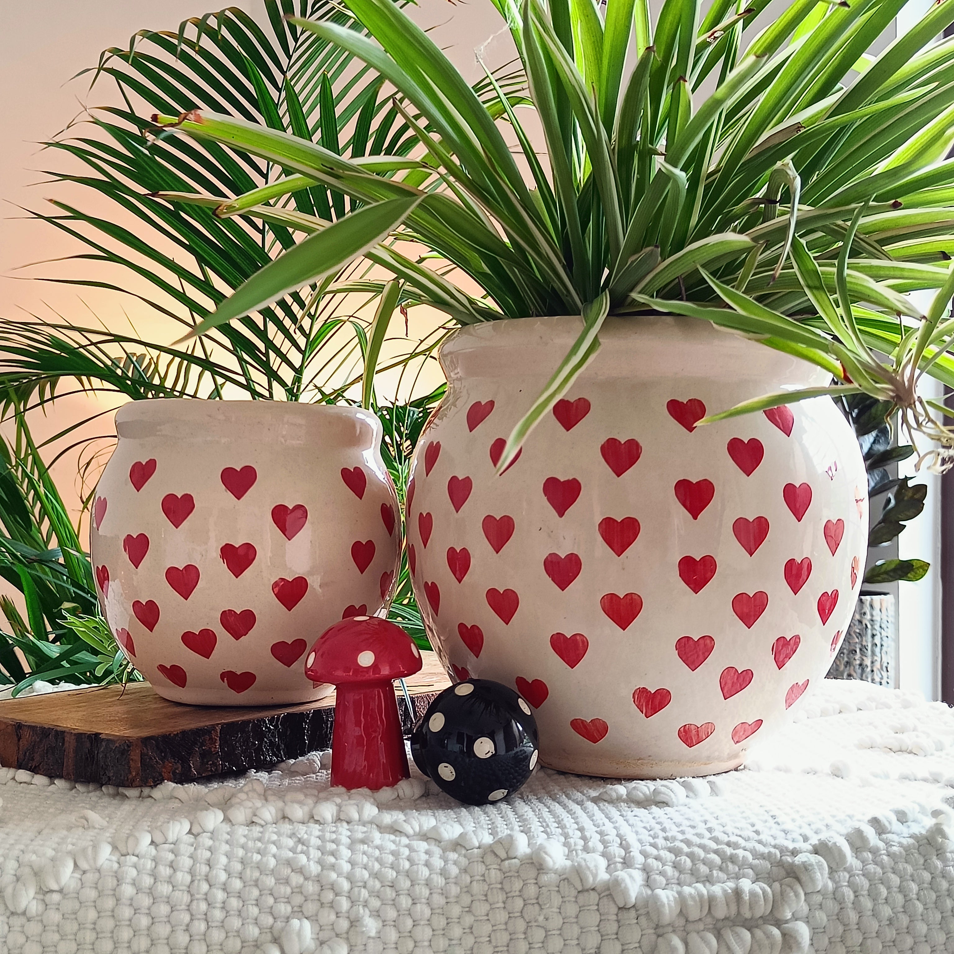 Heart print ceramic combo planter pot size 8 inch by 6 inch