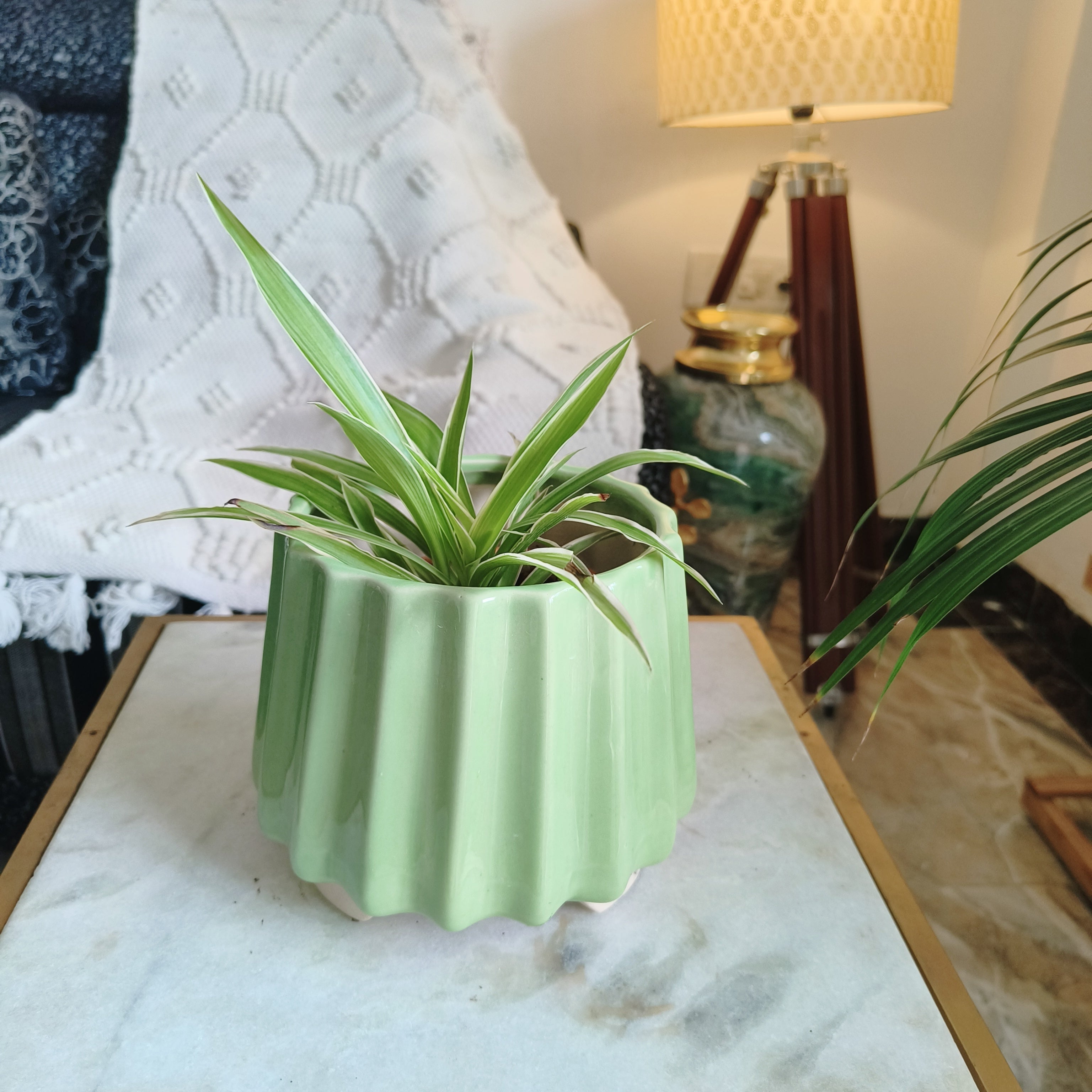 Green wabisabi design ceramic pot size 14 by 11 cm