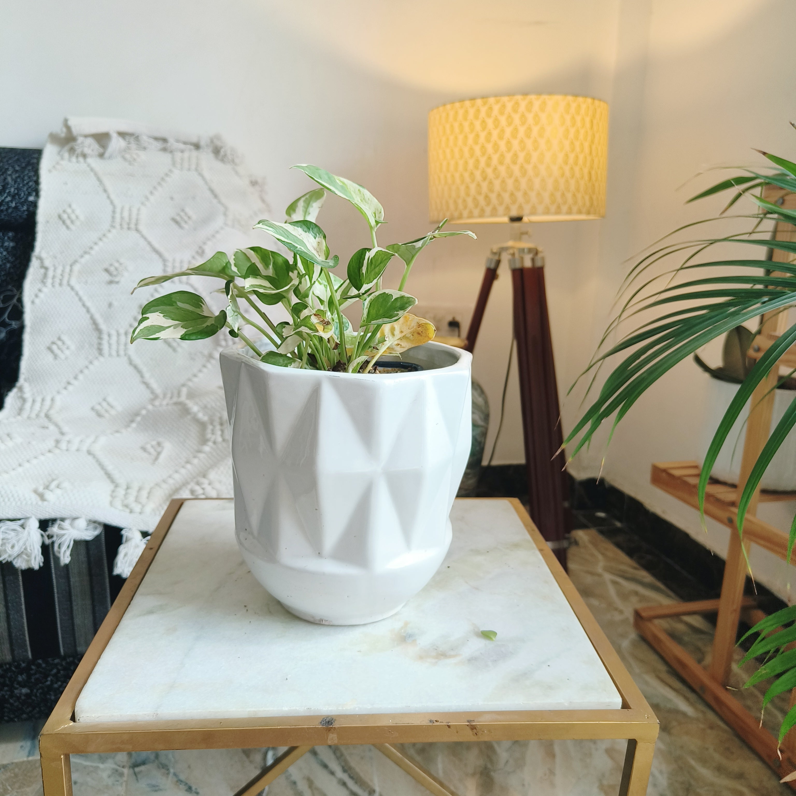 white self pettern lookceramic pot size-7 inch