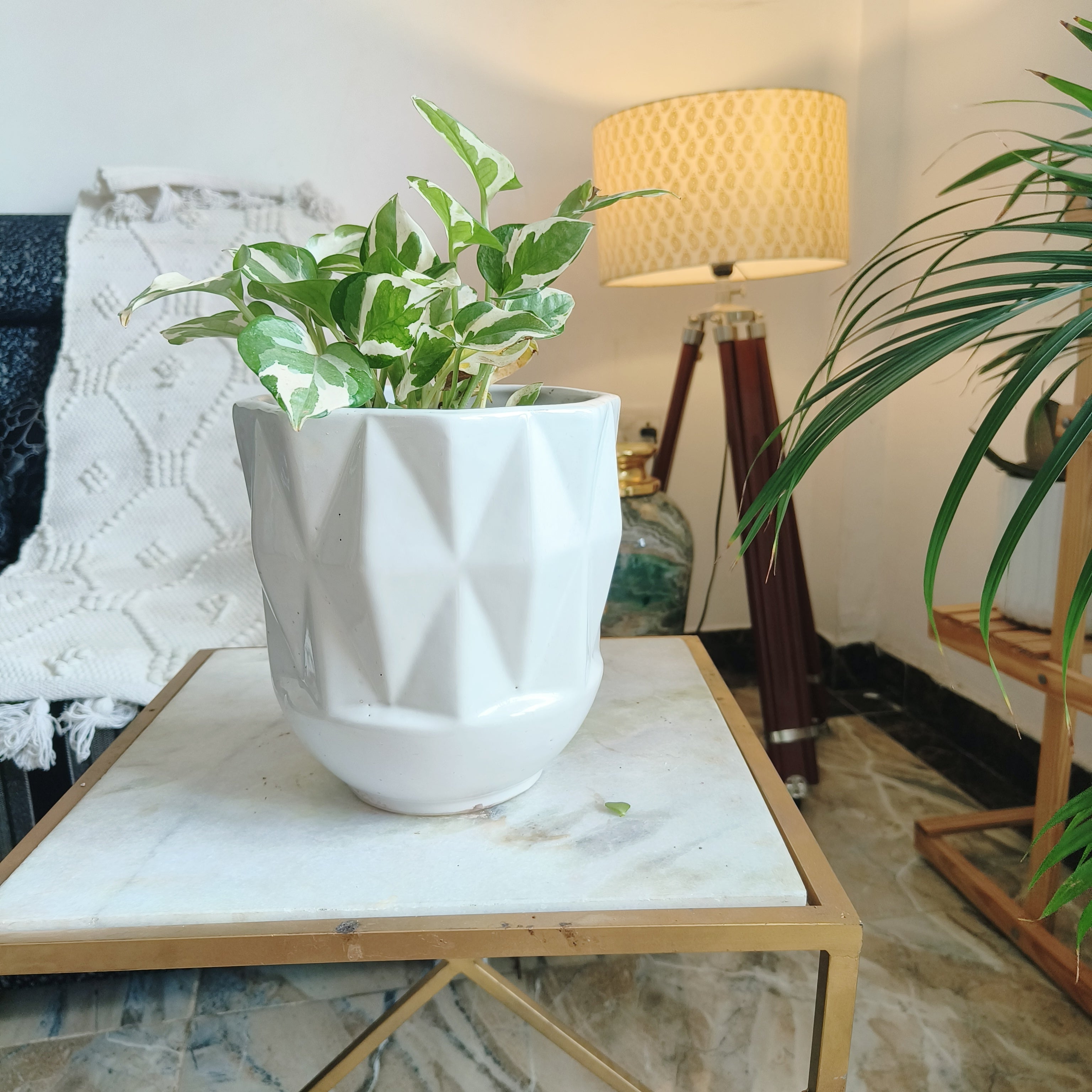 White Self Pattern Look Ceramic Pots Large 7inches by 8 inches Shape :Cylindrical