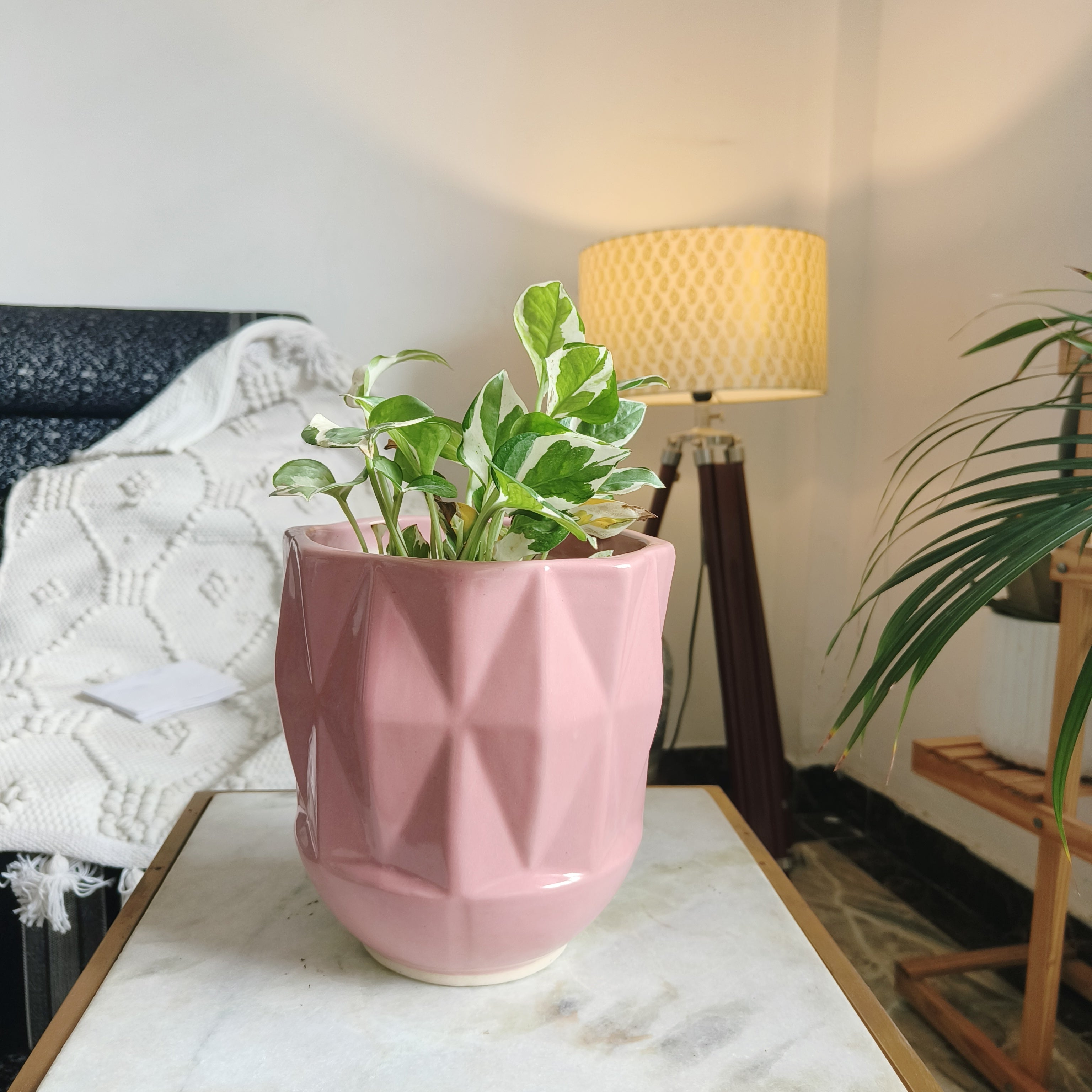 Pink Self Pattern Look Ceramic Pots Large 7inches by 8 inches Shape :Cylindrical