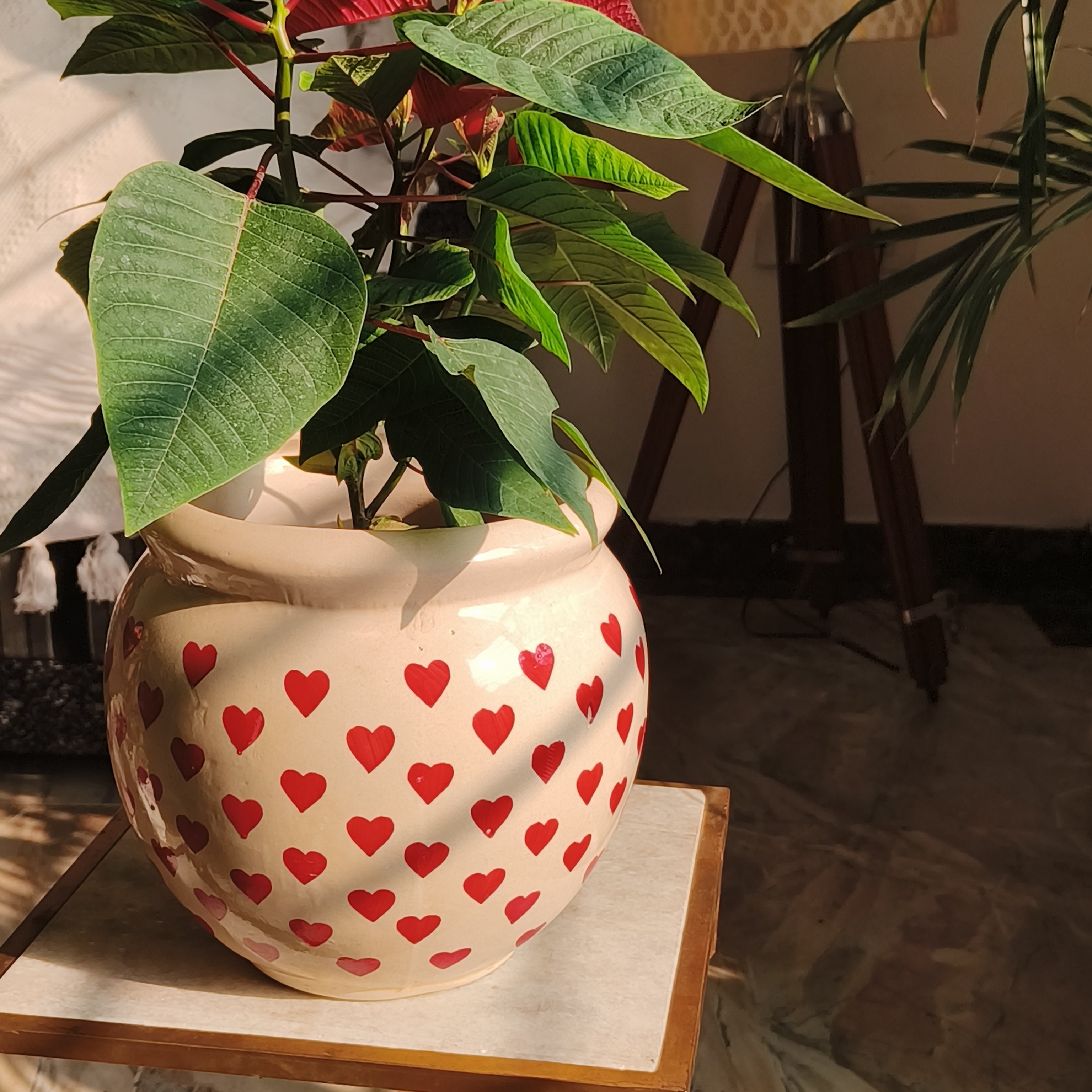 Valentine Handi 8 inch