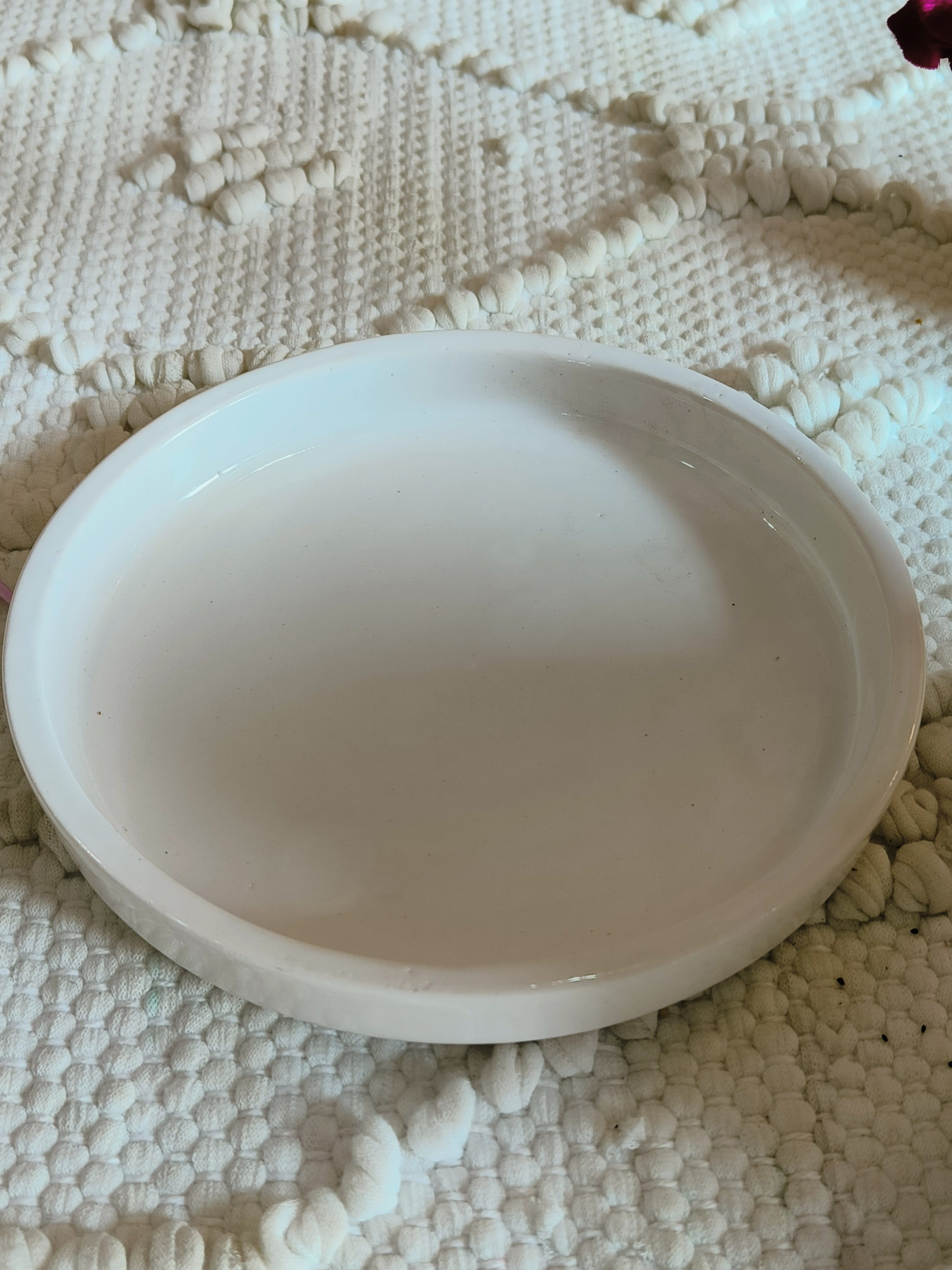 Apple pot 7 with Tray