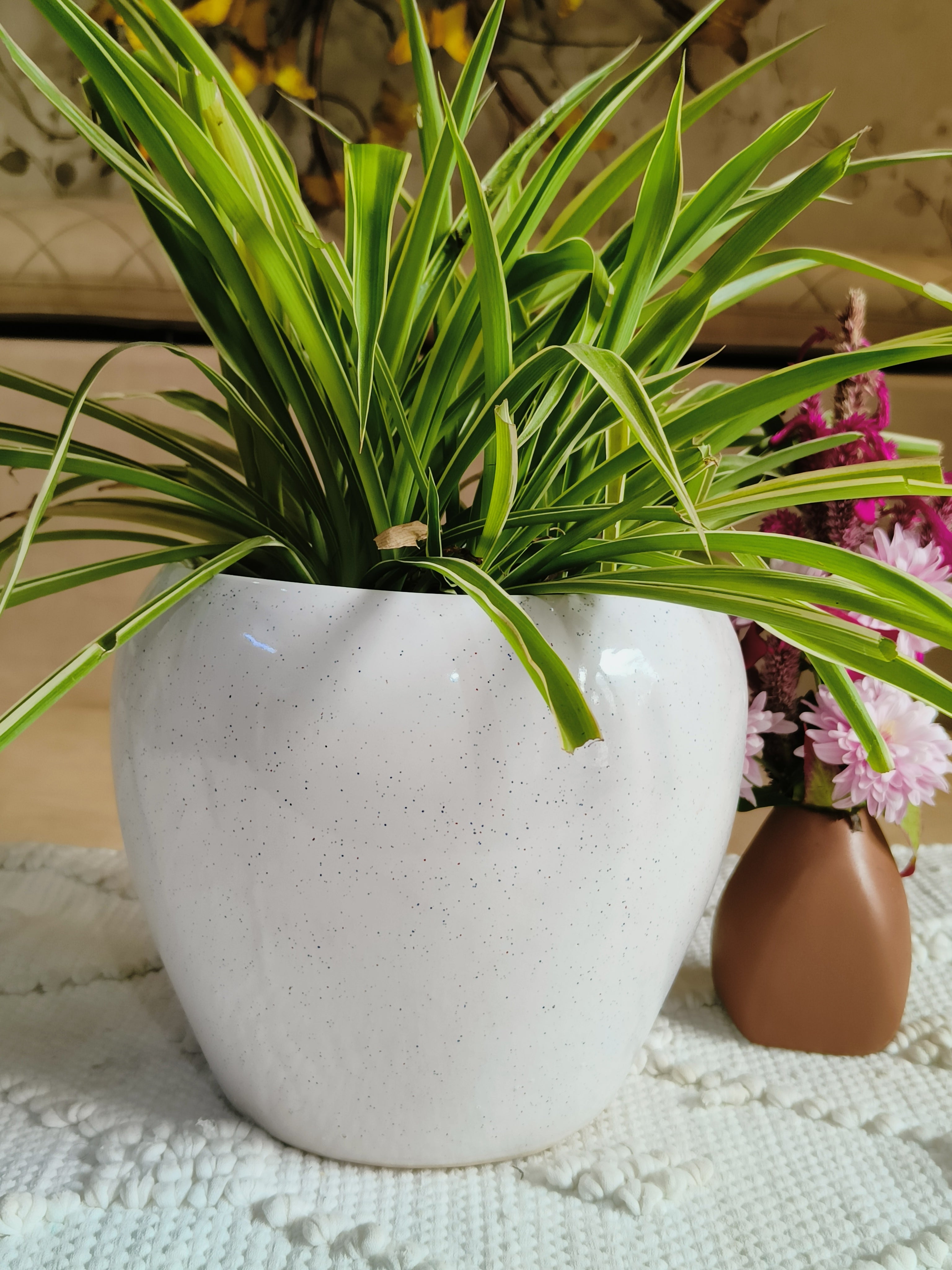 Milky White Apple pot 8