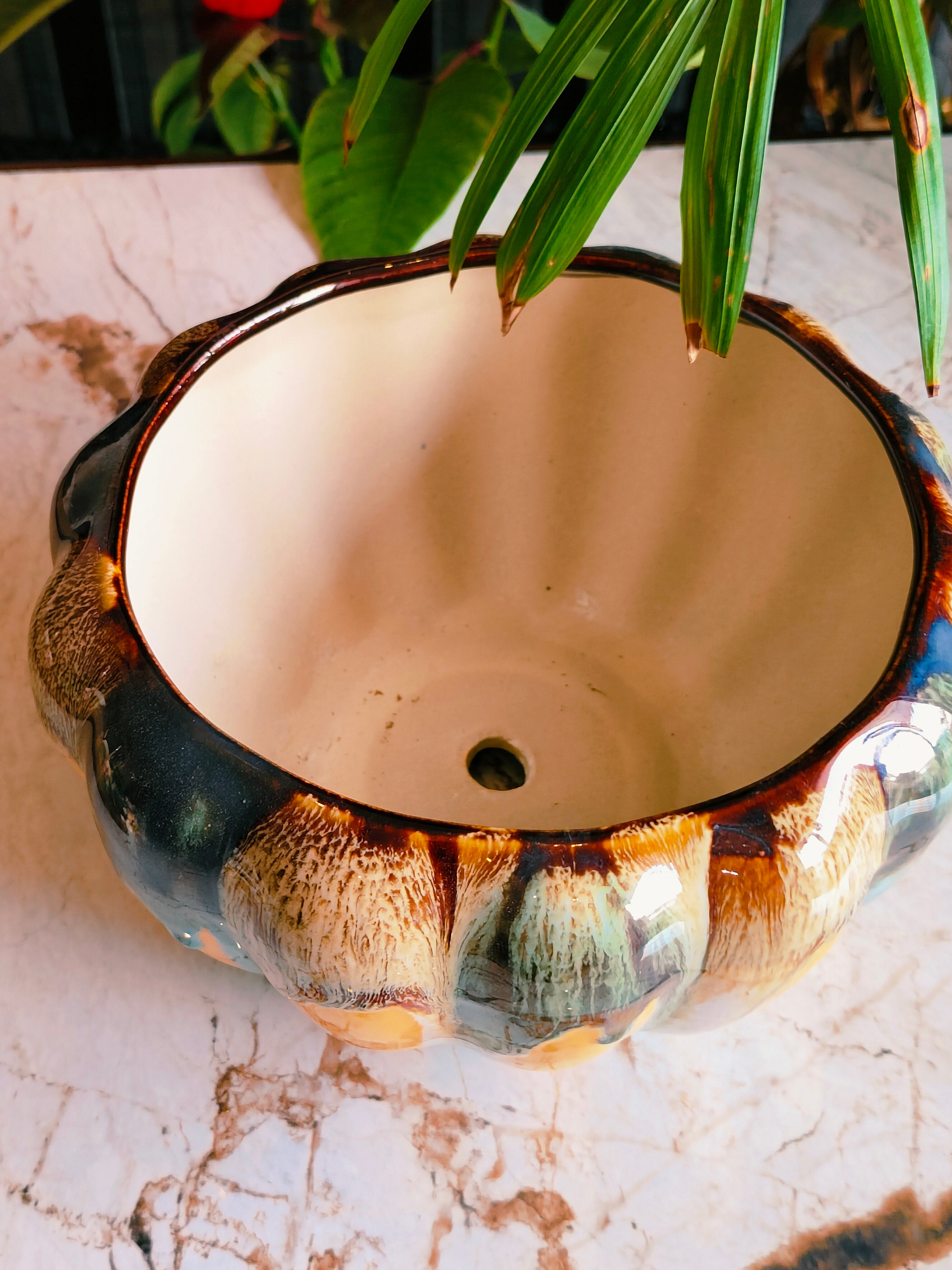 Mustard flow look pumpkin pot