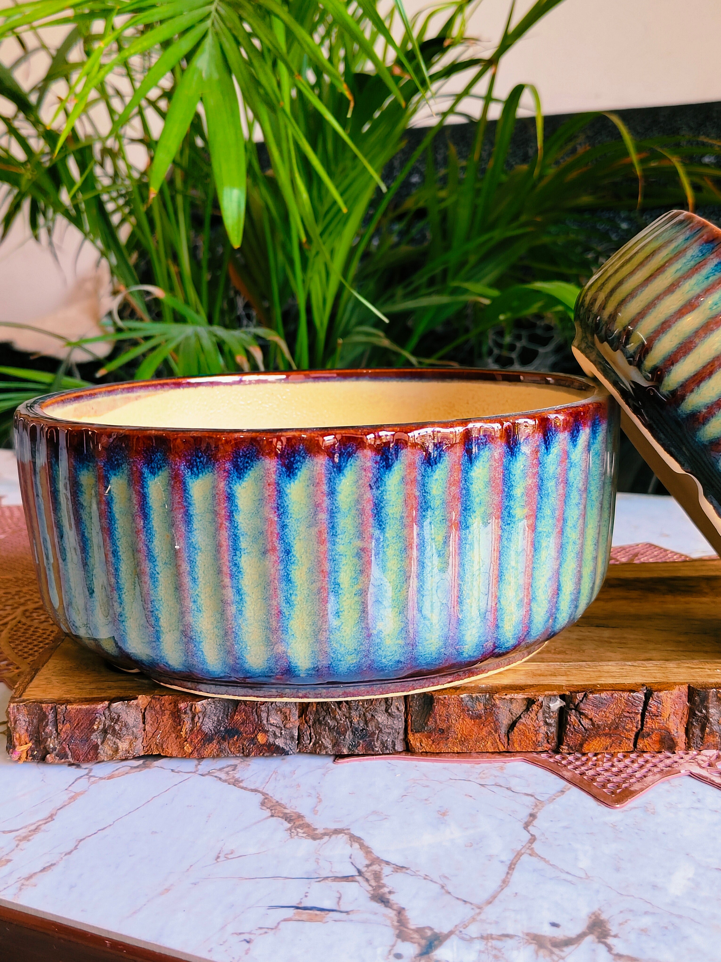 Fable Bonsai Round Shape Ceramic Pots Set of 2
