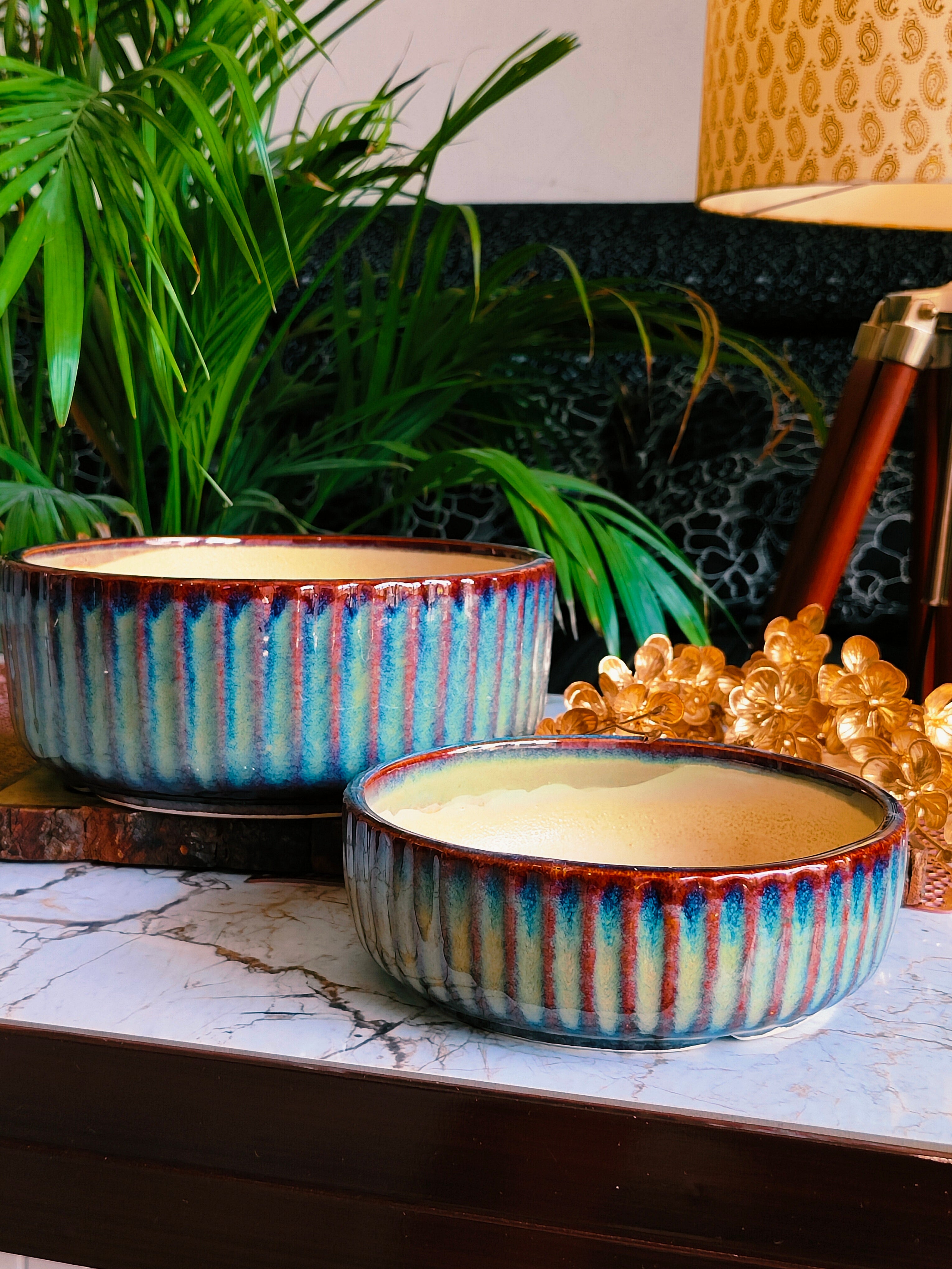 Fable Bonsai Round Shape Ceramic Pots Set of 2