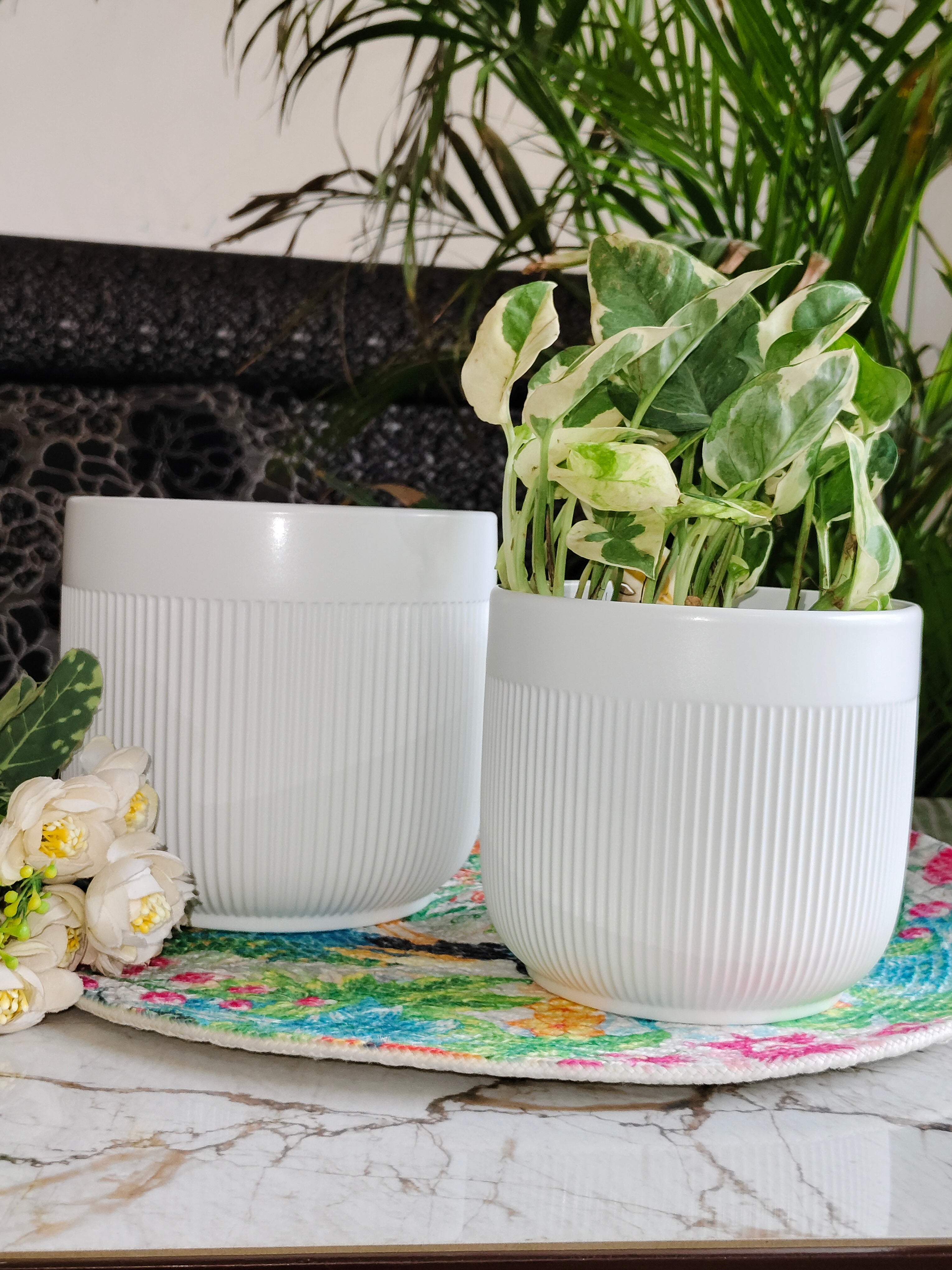 Fairy White Stripe design pot set 2 (Imported Ceramic Pots)