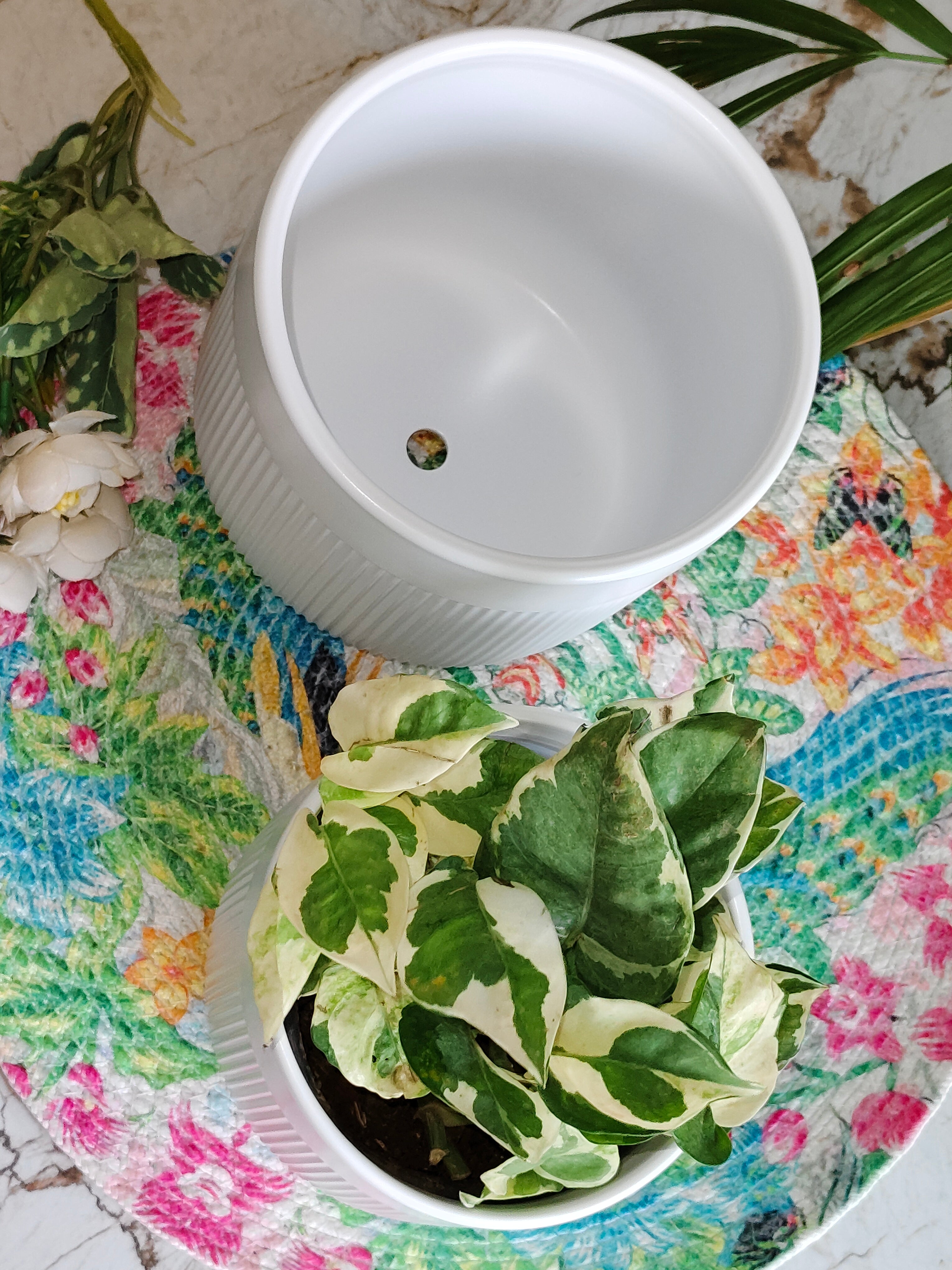 Fairy White Stripe design pot set 2 (Imported Ceramic Pots)