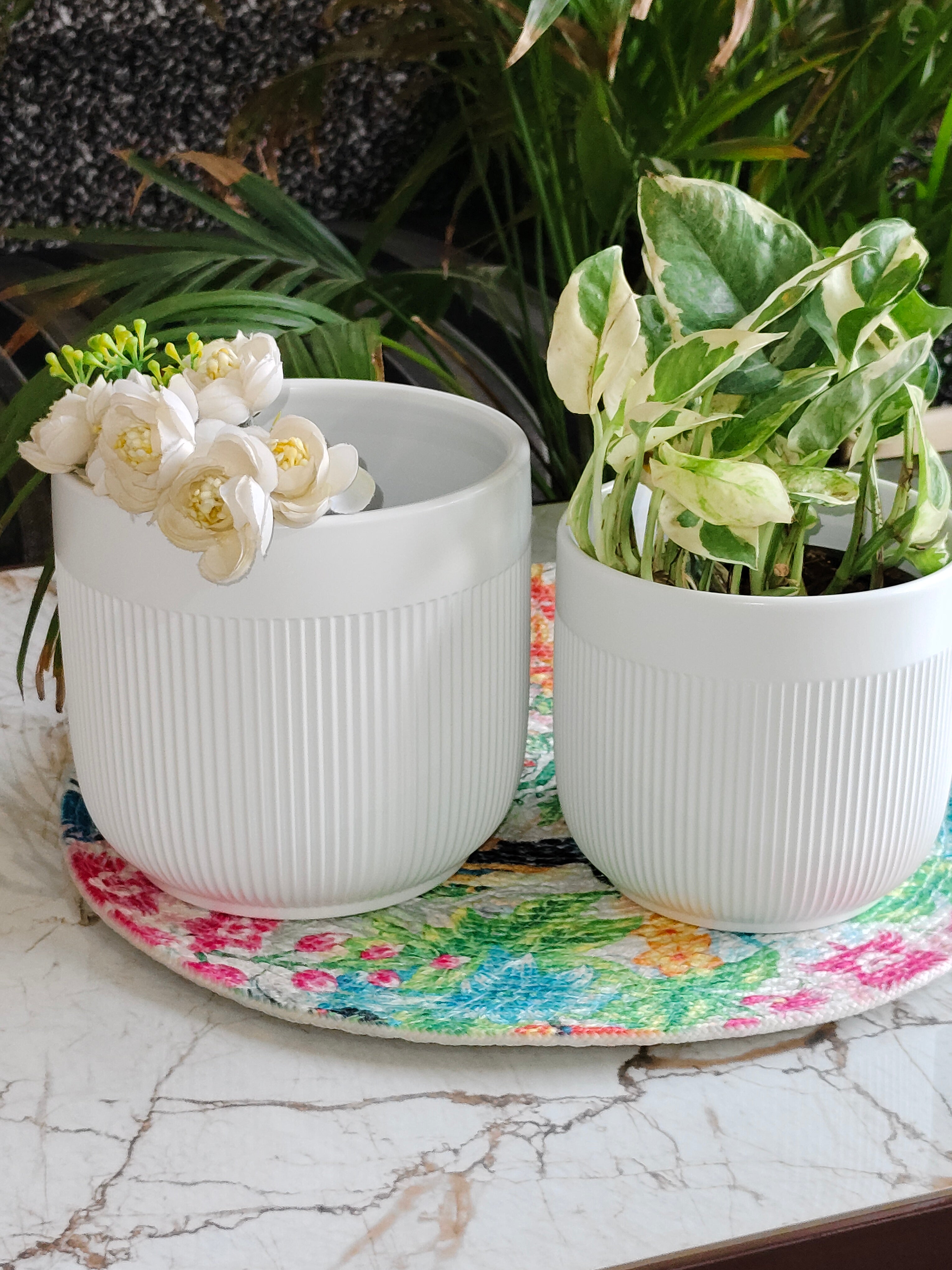 Fairy White Stripe design pot set 2 (Imported Ceramic Pots)