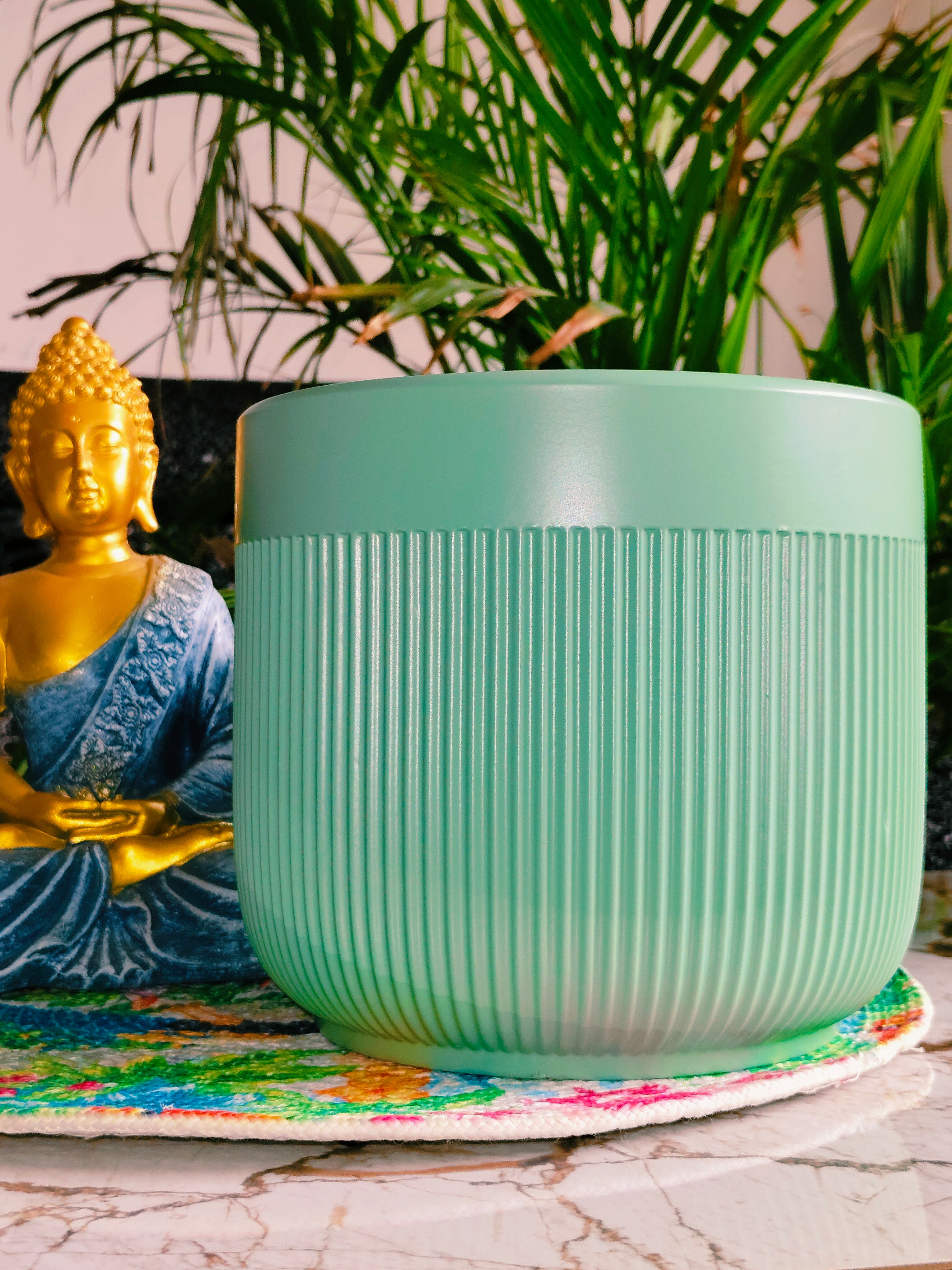 Fairy Green Strip Pot 8 inches