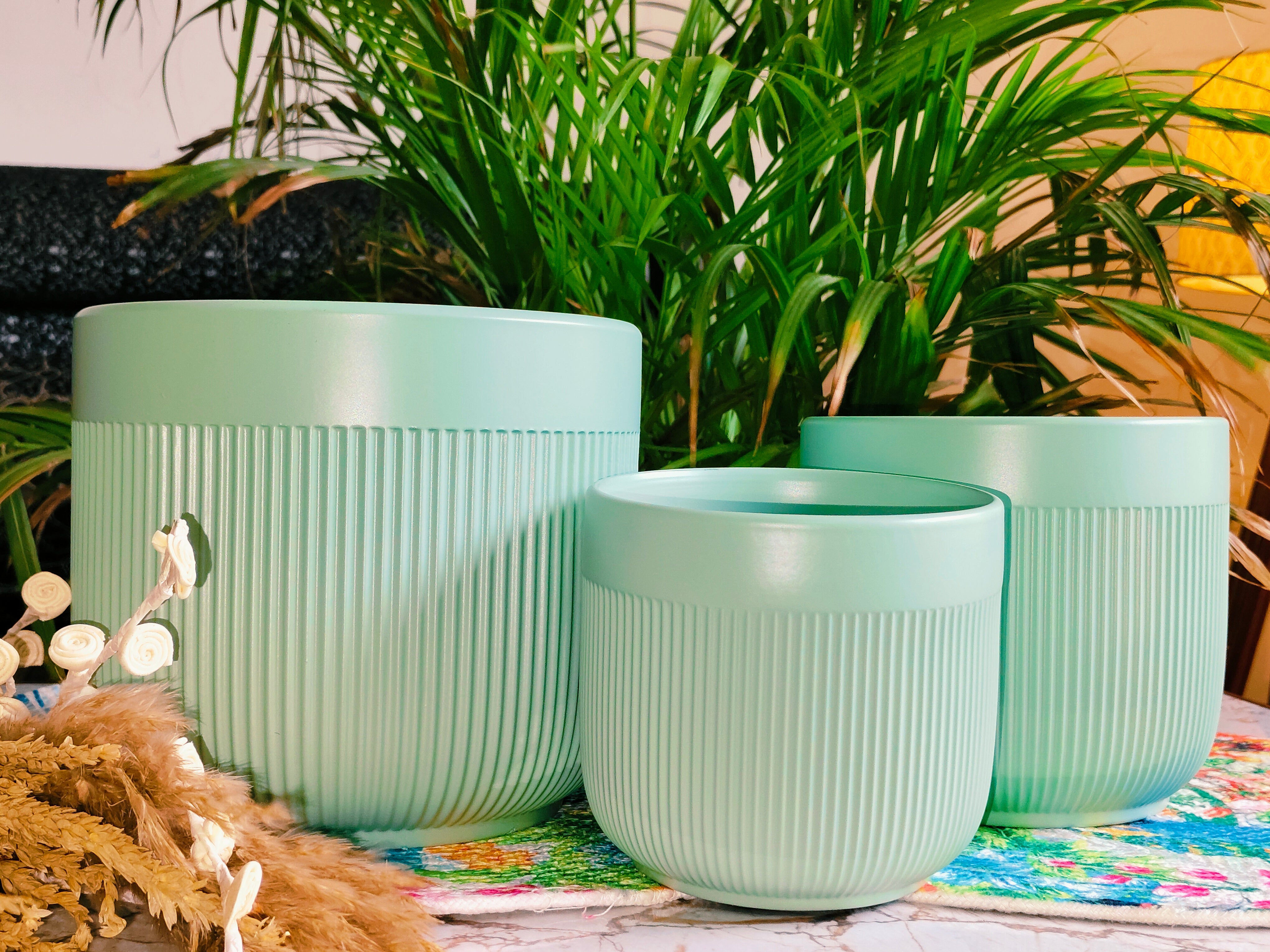 Fairy Green Stripe design pot set of 3 (Imported Ceramic Pots)
