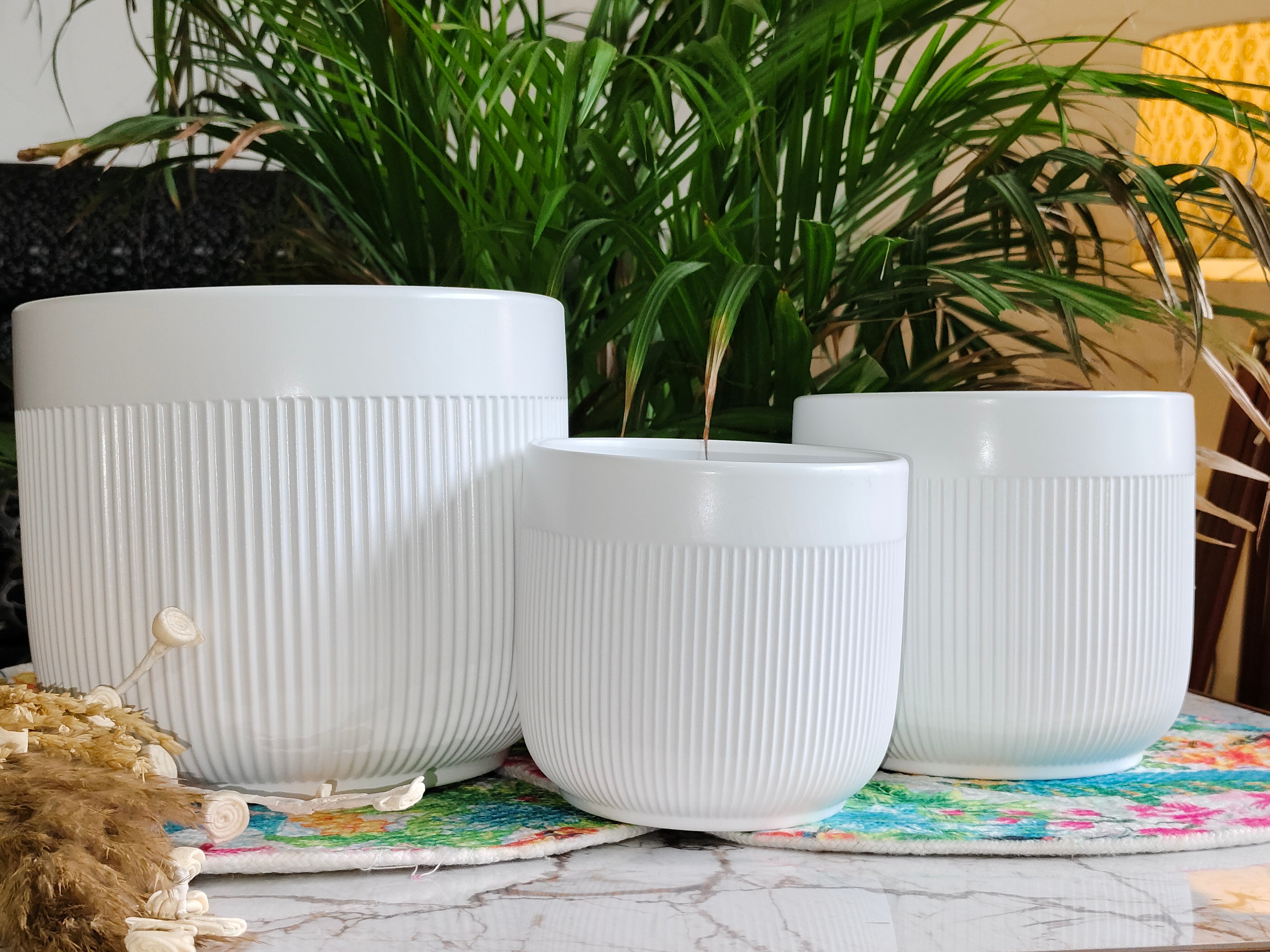 Fairy White Stripe design combo pots set 3 (Imported Ceramic Pots)