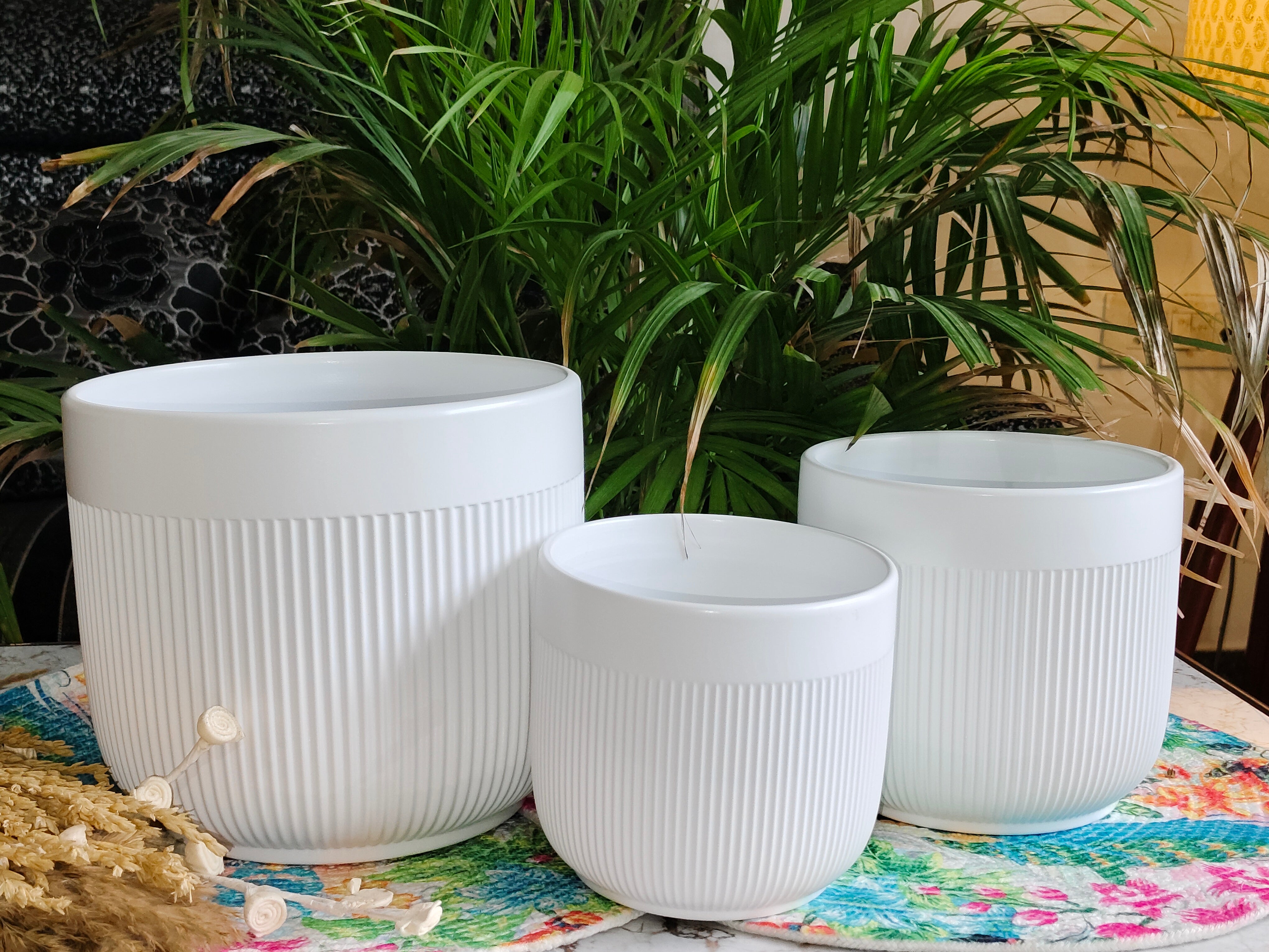 Fairy White Stripe design combo pots set 3 (Imported Ceramic Pots)