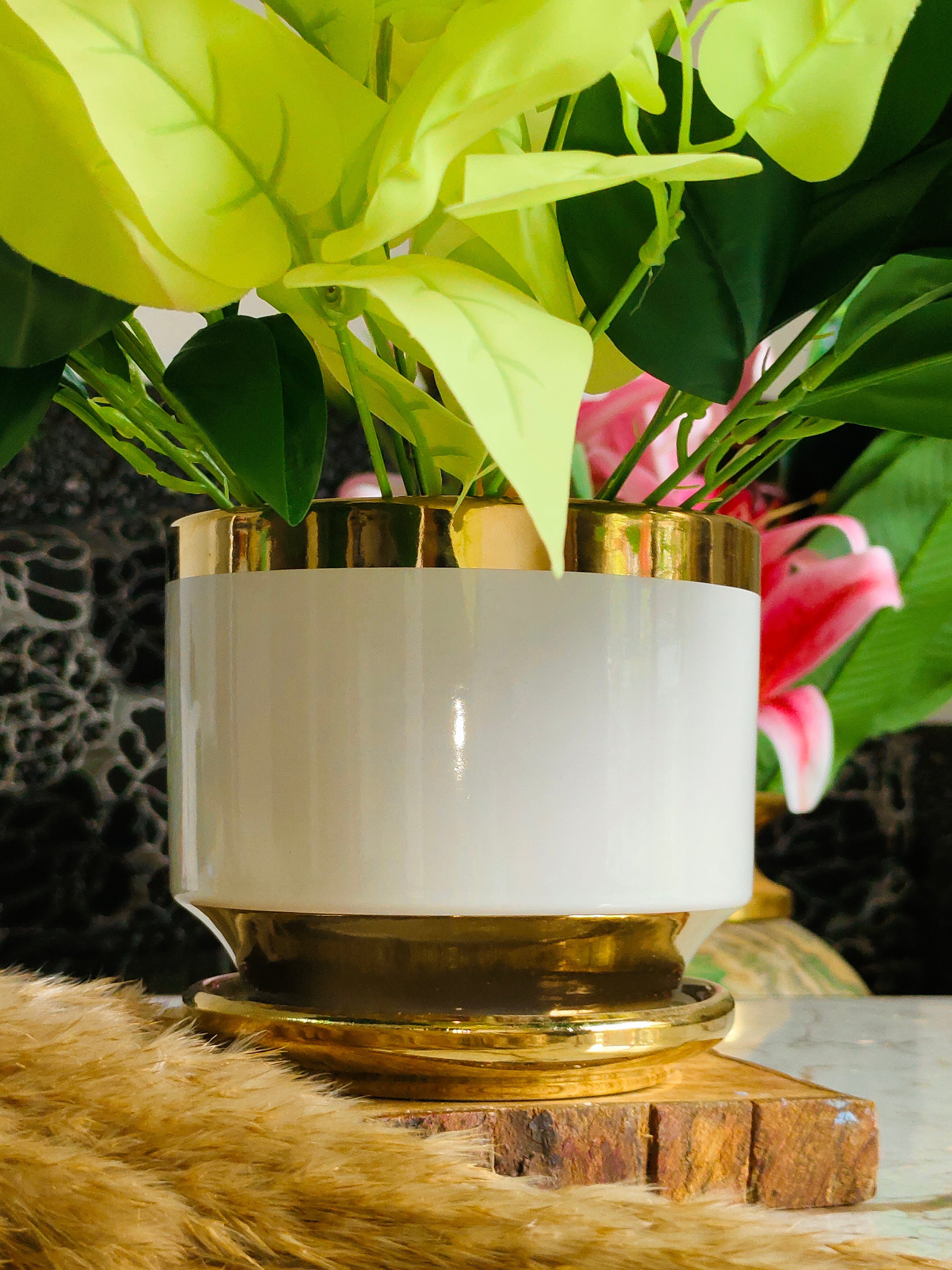 Luxe White 5 inches (Imported Ceramic Pots)