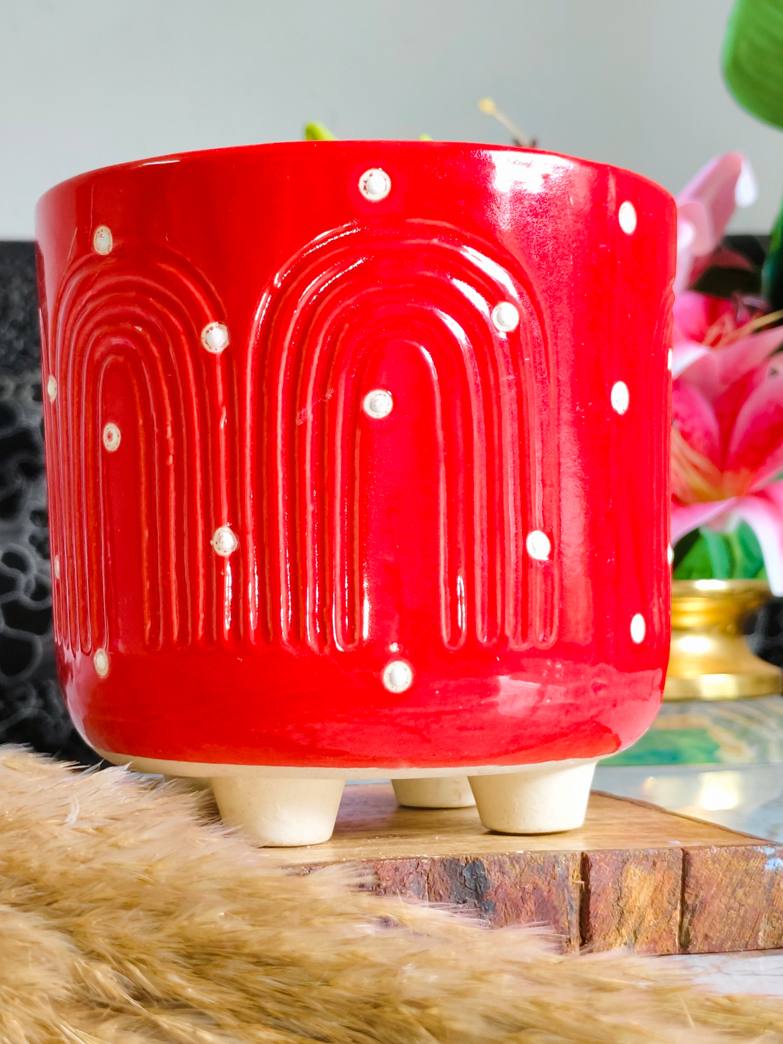 Red Abstract Pot 6 inch