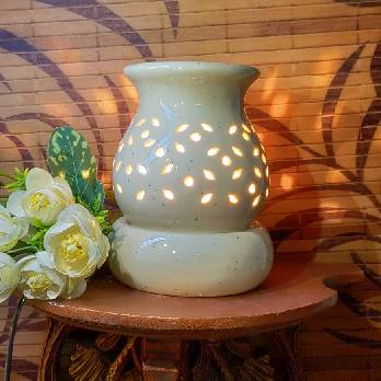 Vase Shaped Electric Diffuser