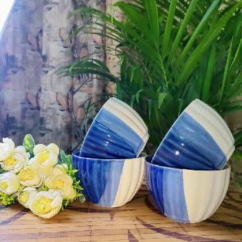Snacks bowls set of 4