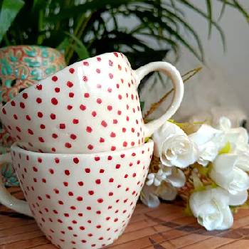 Polka Dot Coffee Mug Set of 2