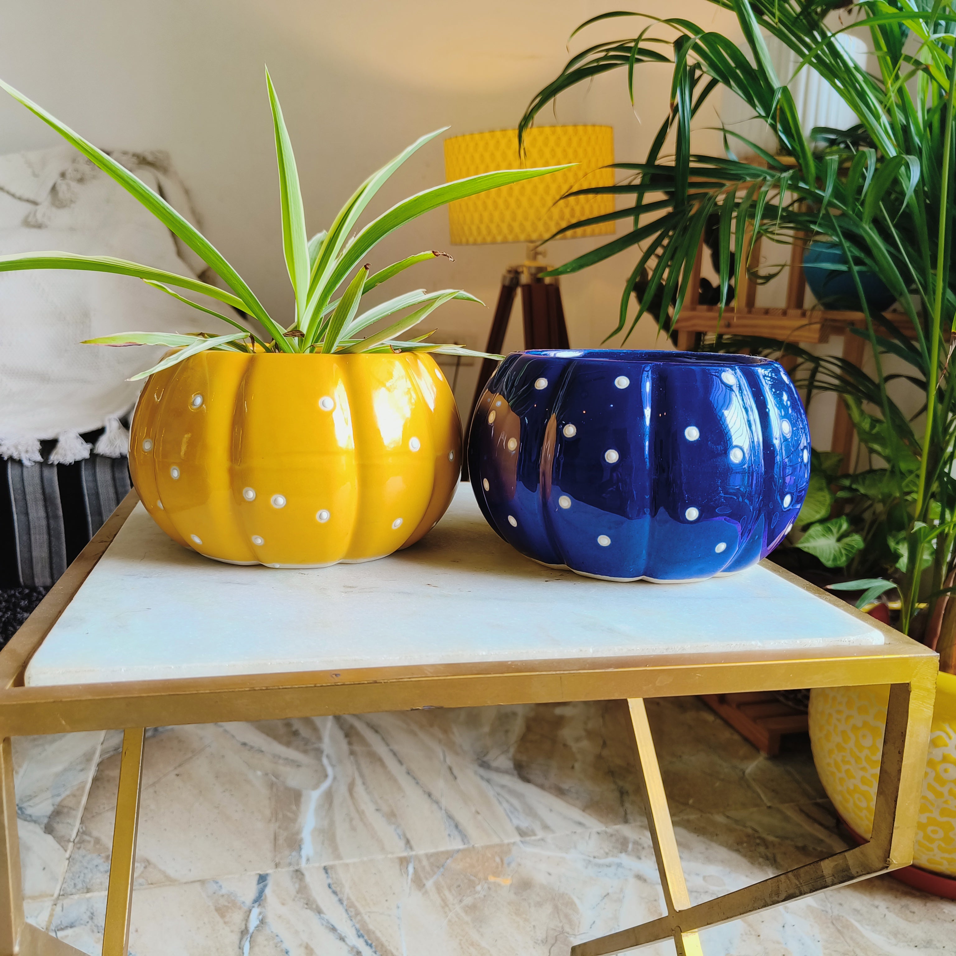 Pumpkin Pot combo
