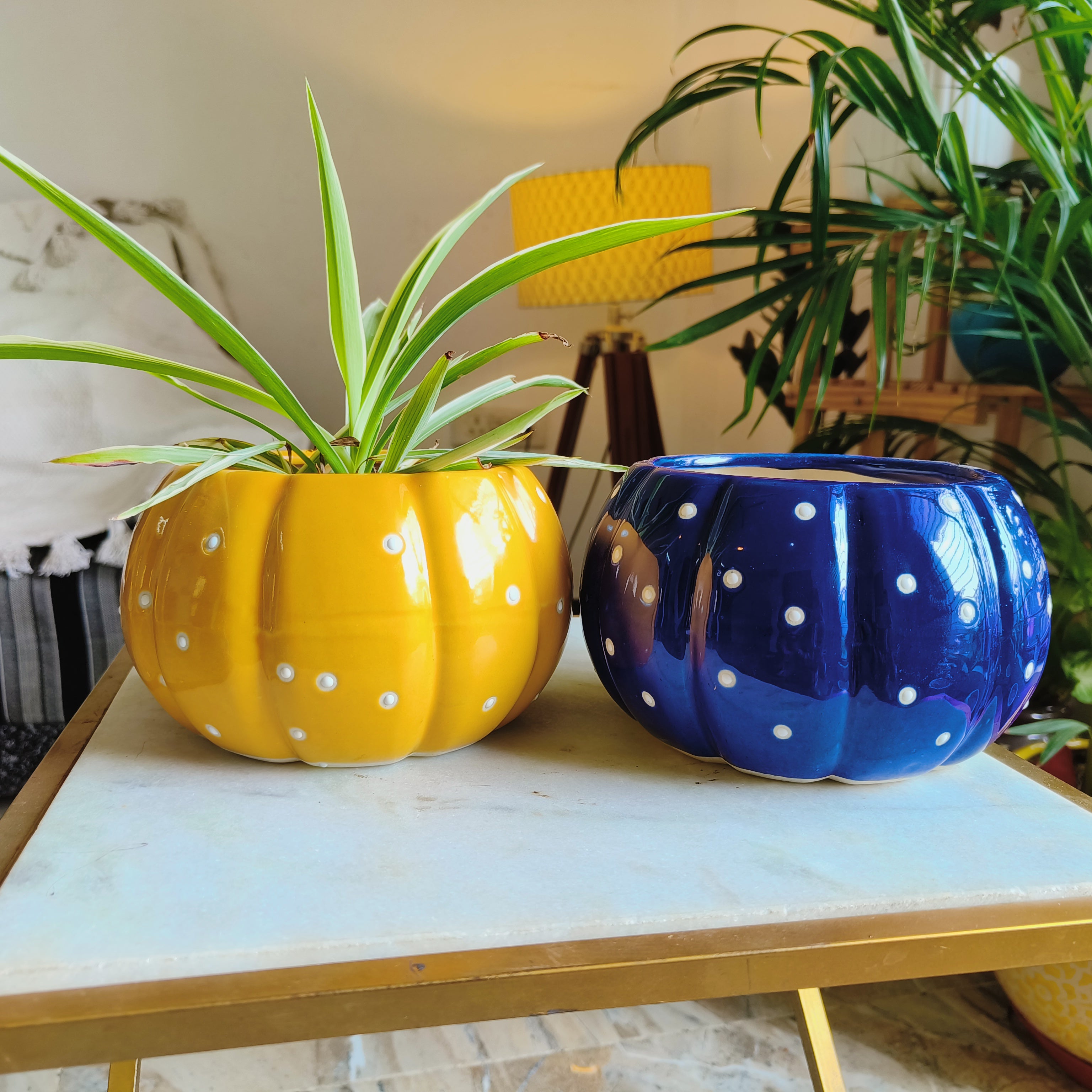 Pumpkin Pot combo