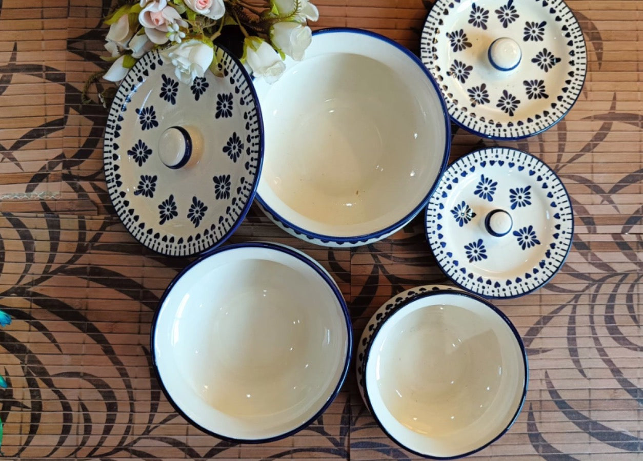 blue berry design caseroll set 3