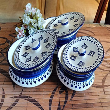 blue berry design caseroll set 3